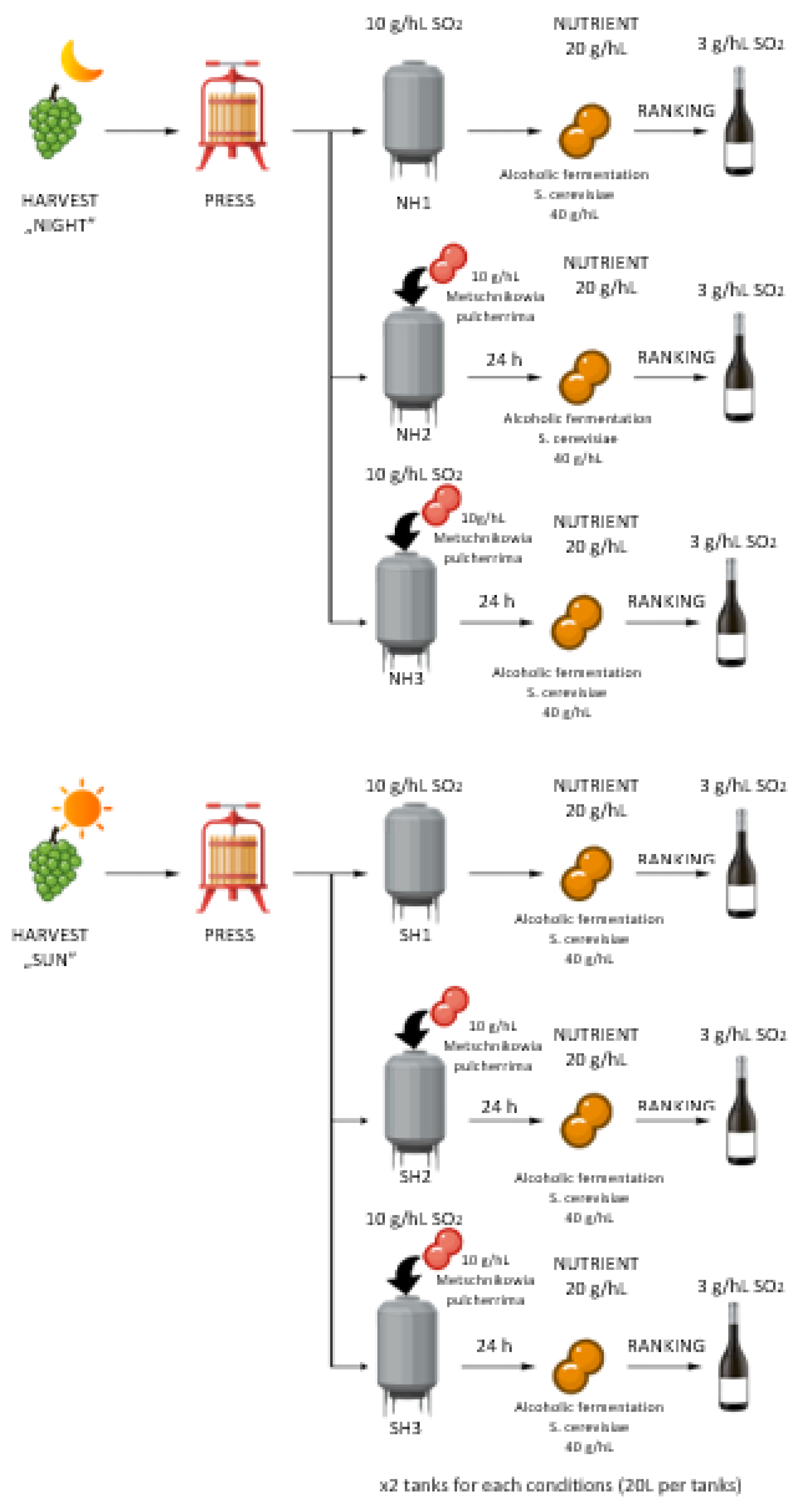 Preprints 189324 g001