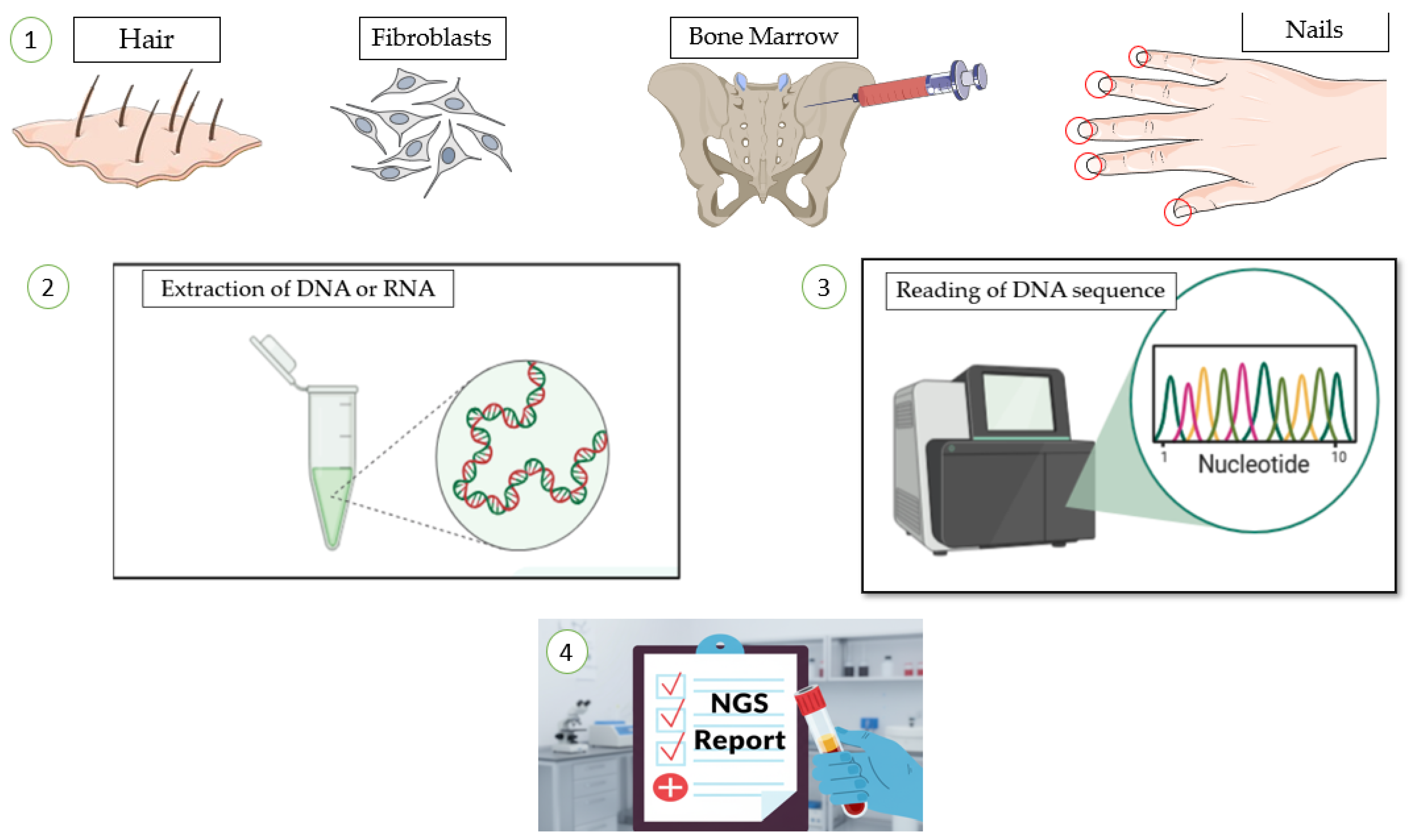 Preprints 183315 g002