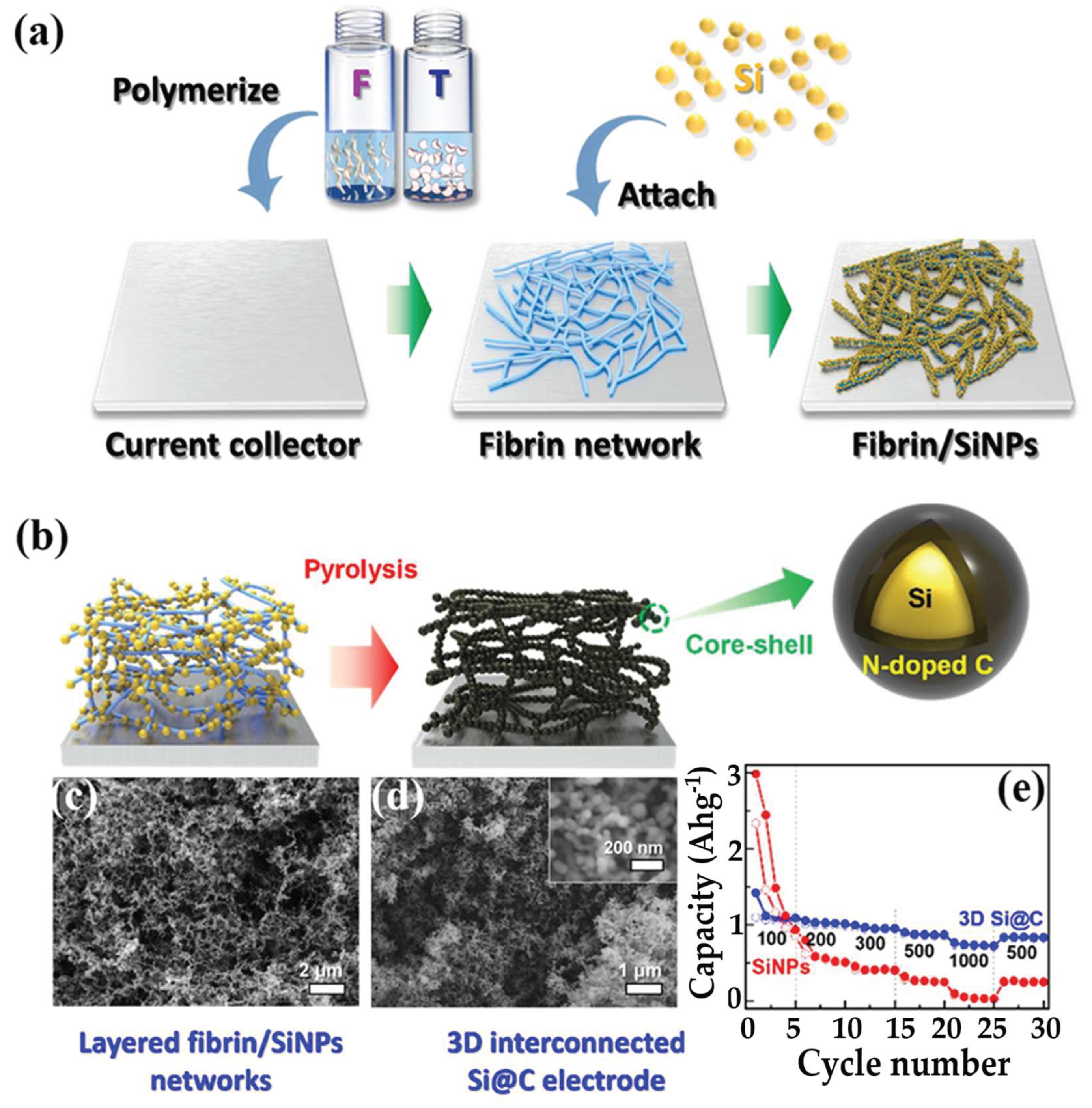 Preprints 168354 g007