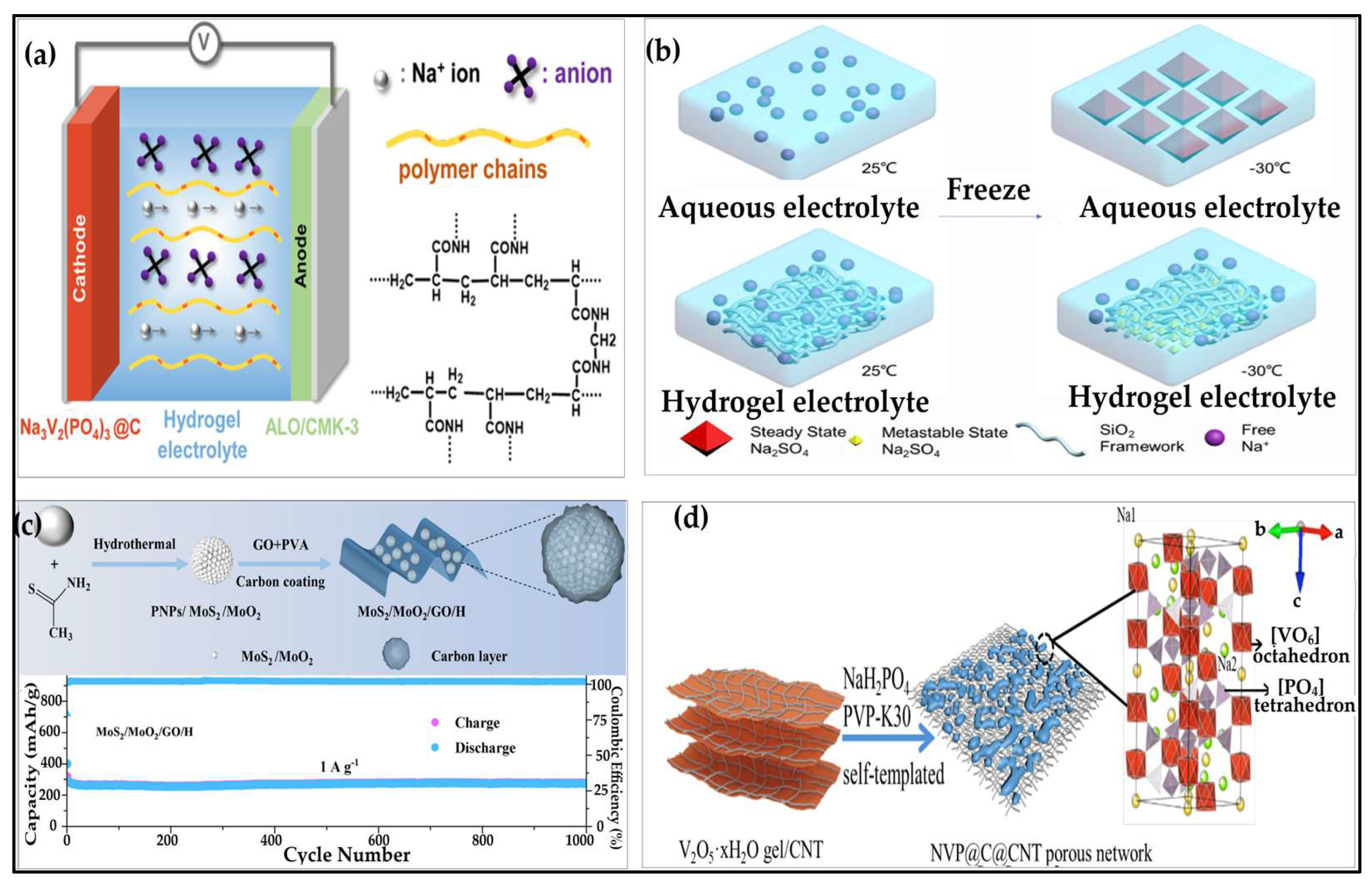 Preprints 168354 g011