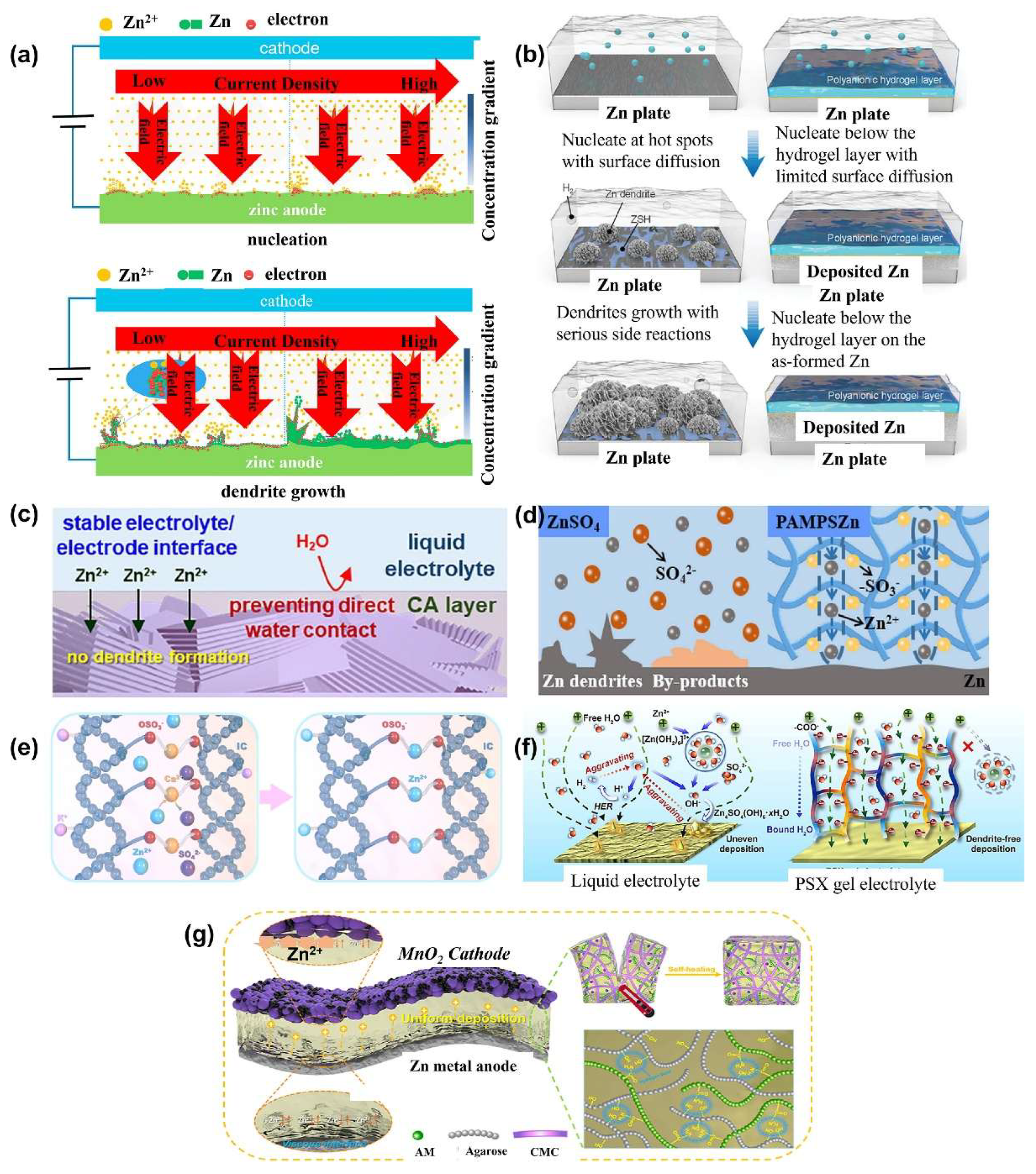 Preprints 168354 g012