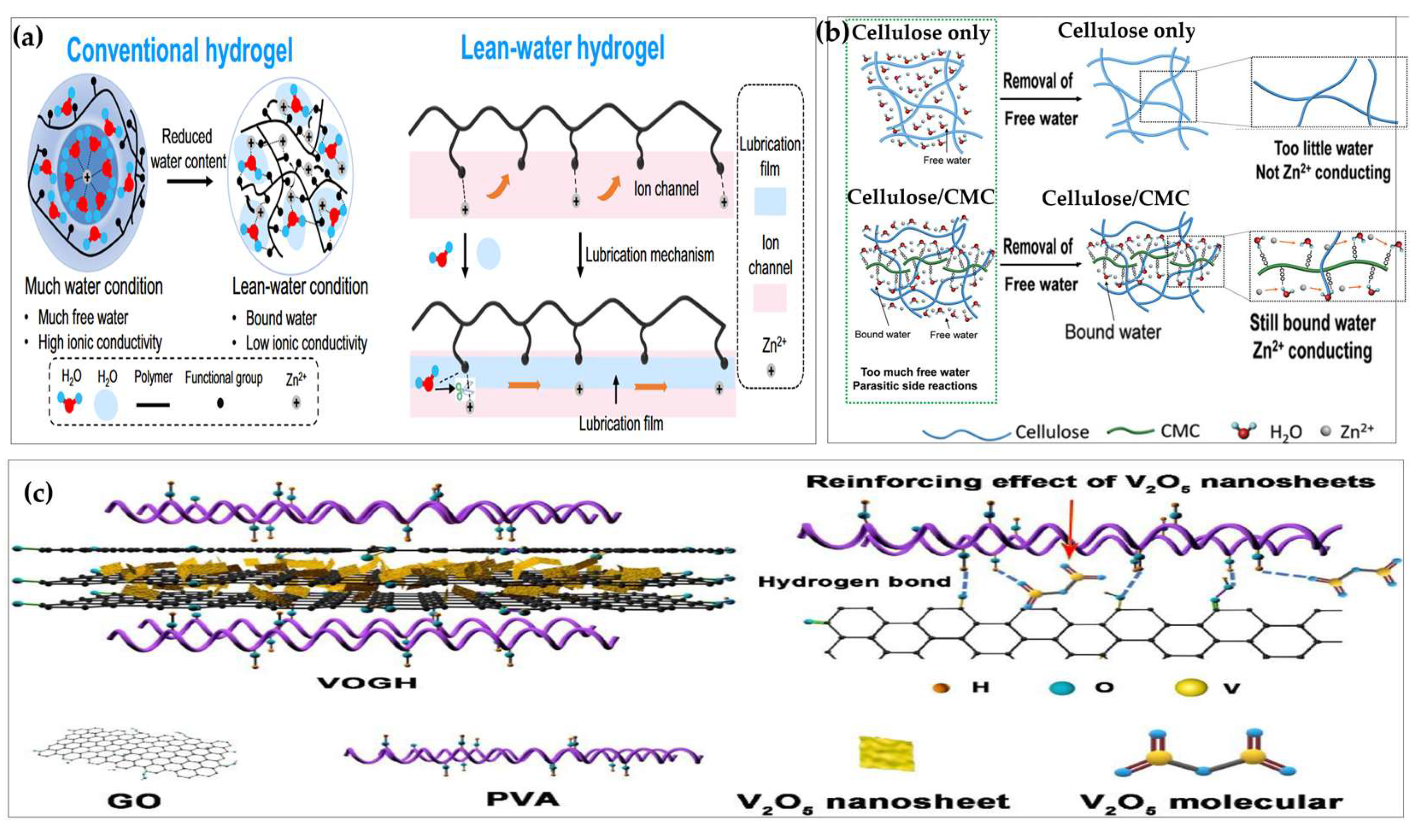 Preprints 168354 g013