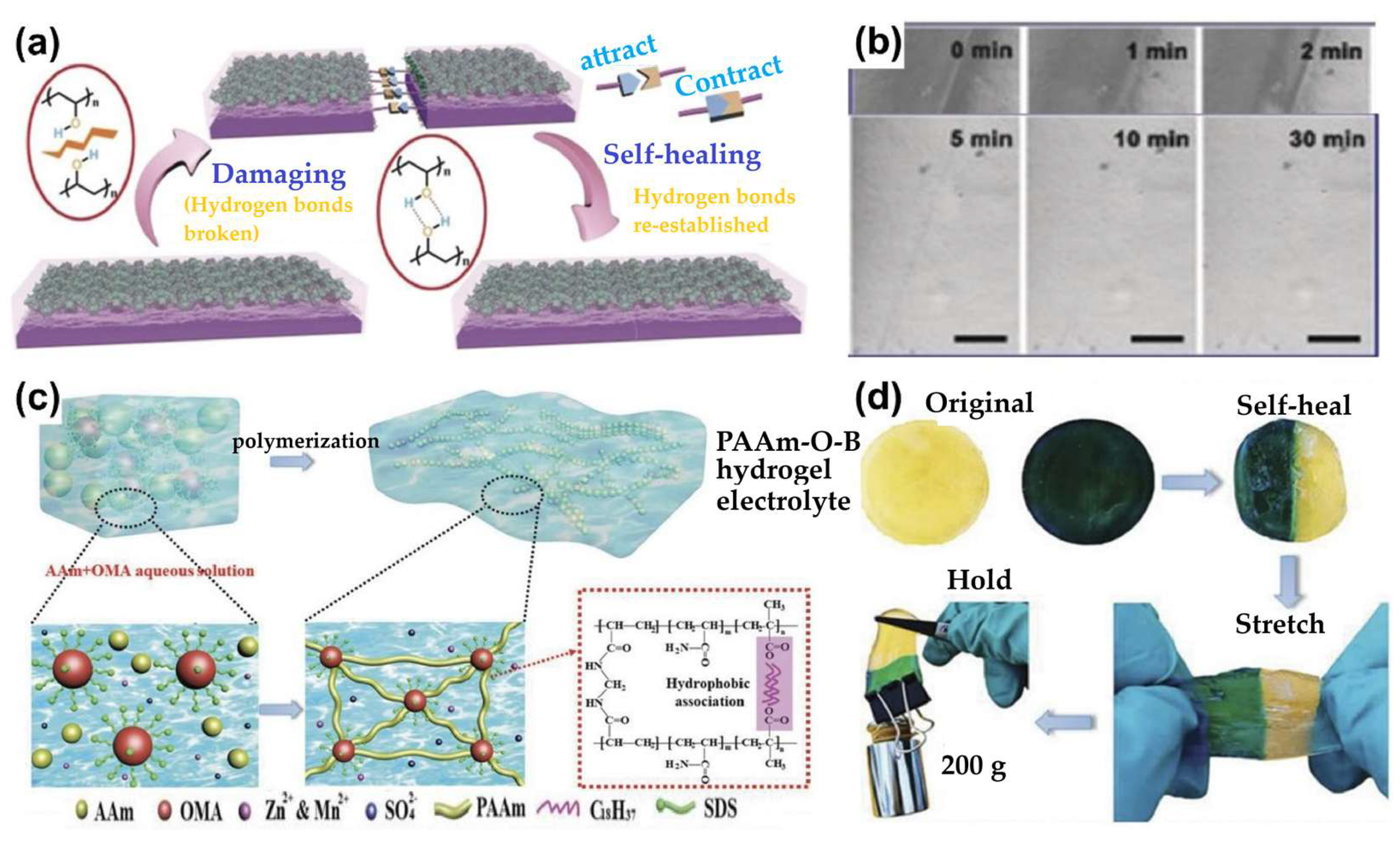 Preprints 168354 g015