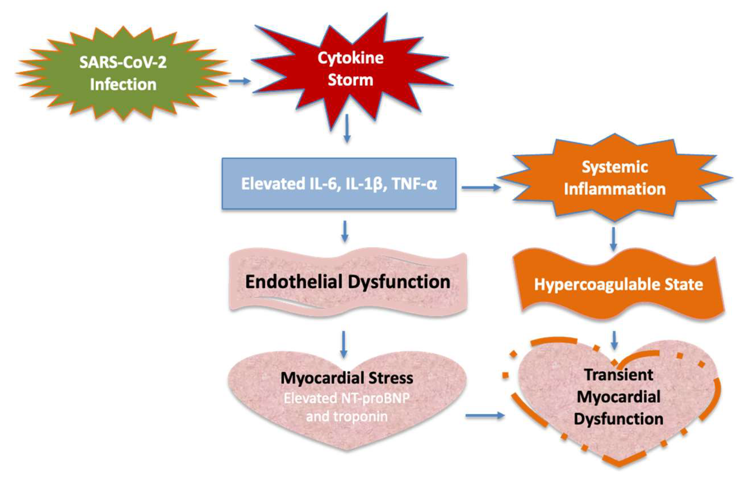 Preprints 149077 g001