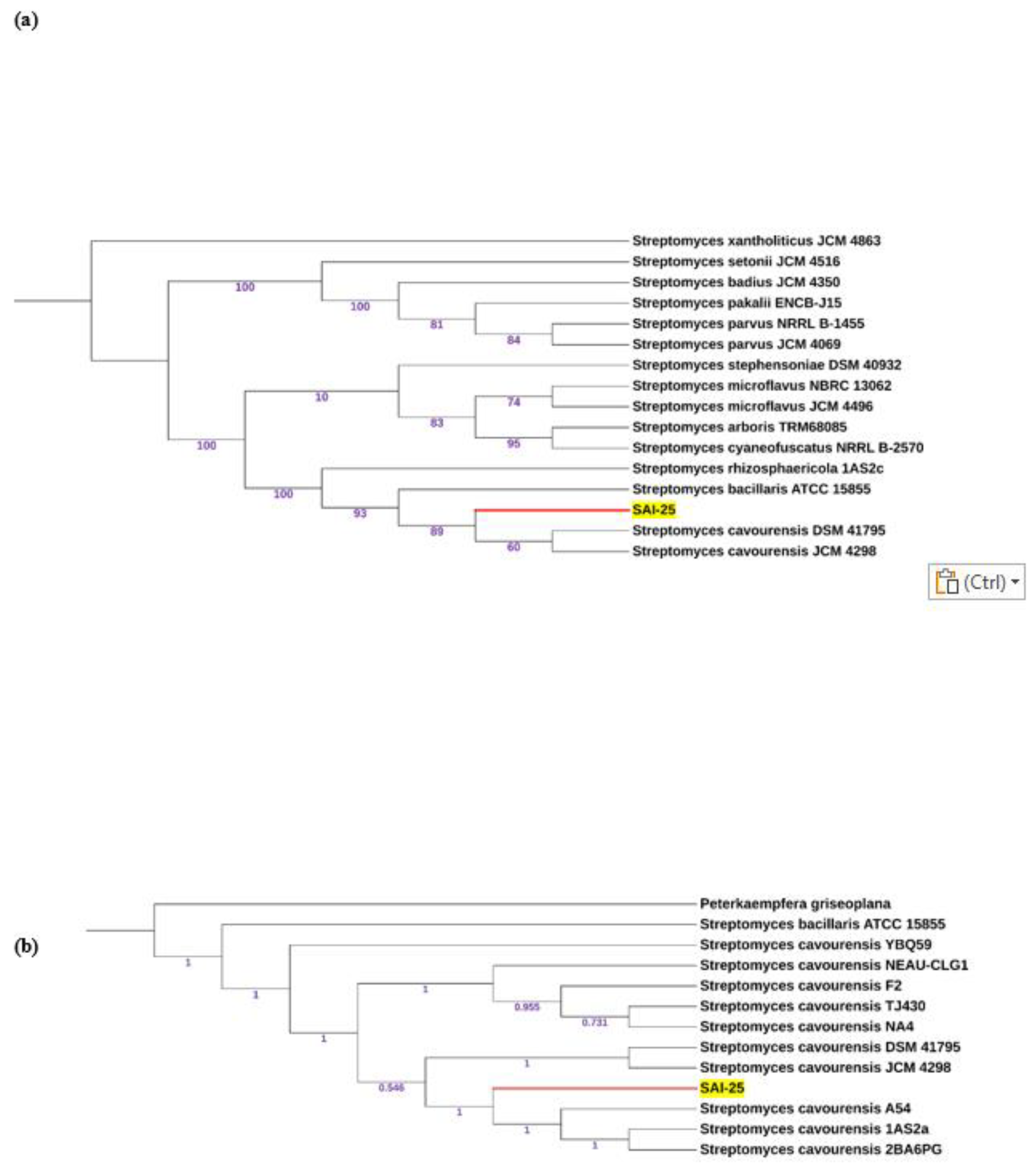 Preprints 164499 g003
