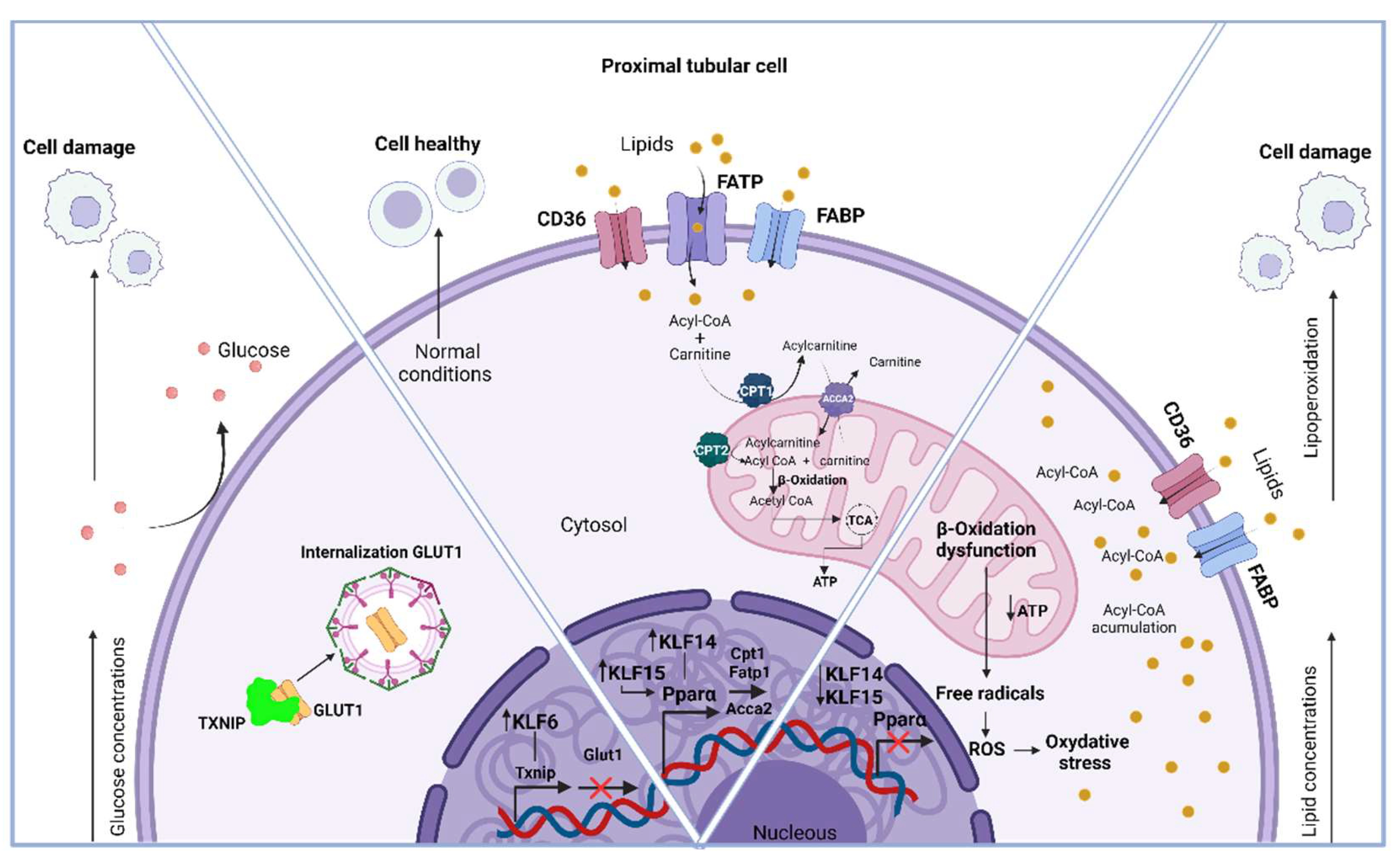 Preprints 141010 g003