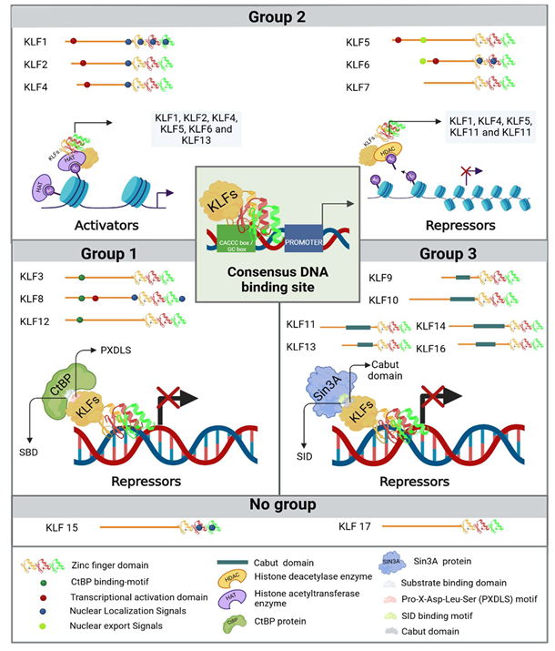 Preprints 141010 i001