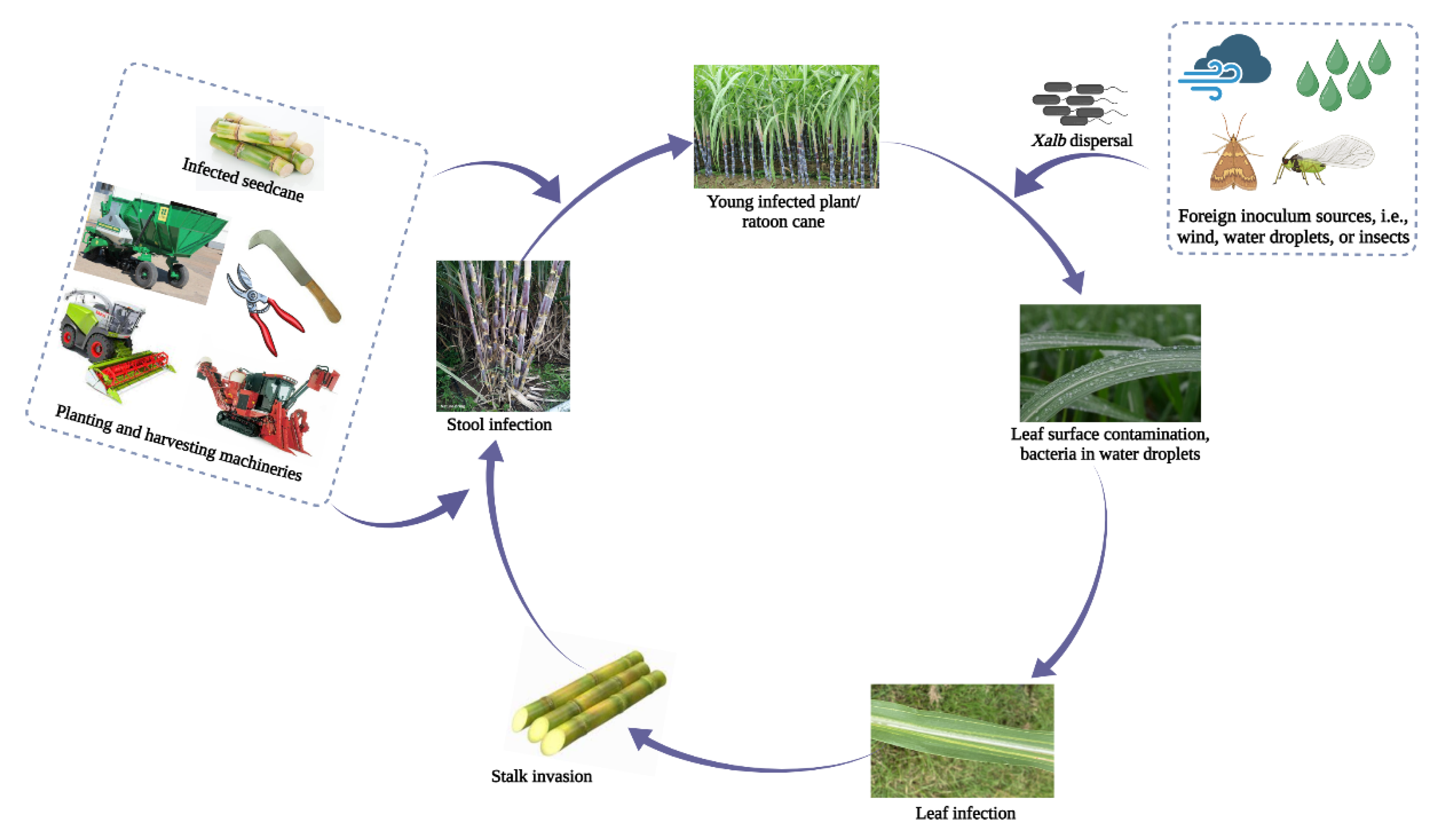 Preprints 173767 g002