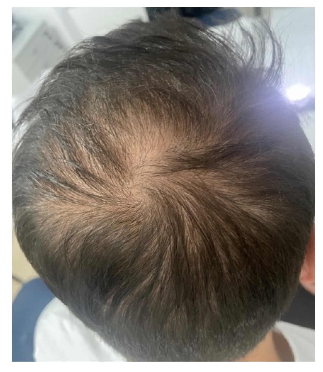 Preprints 81620 g001