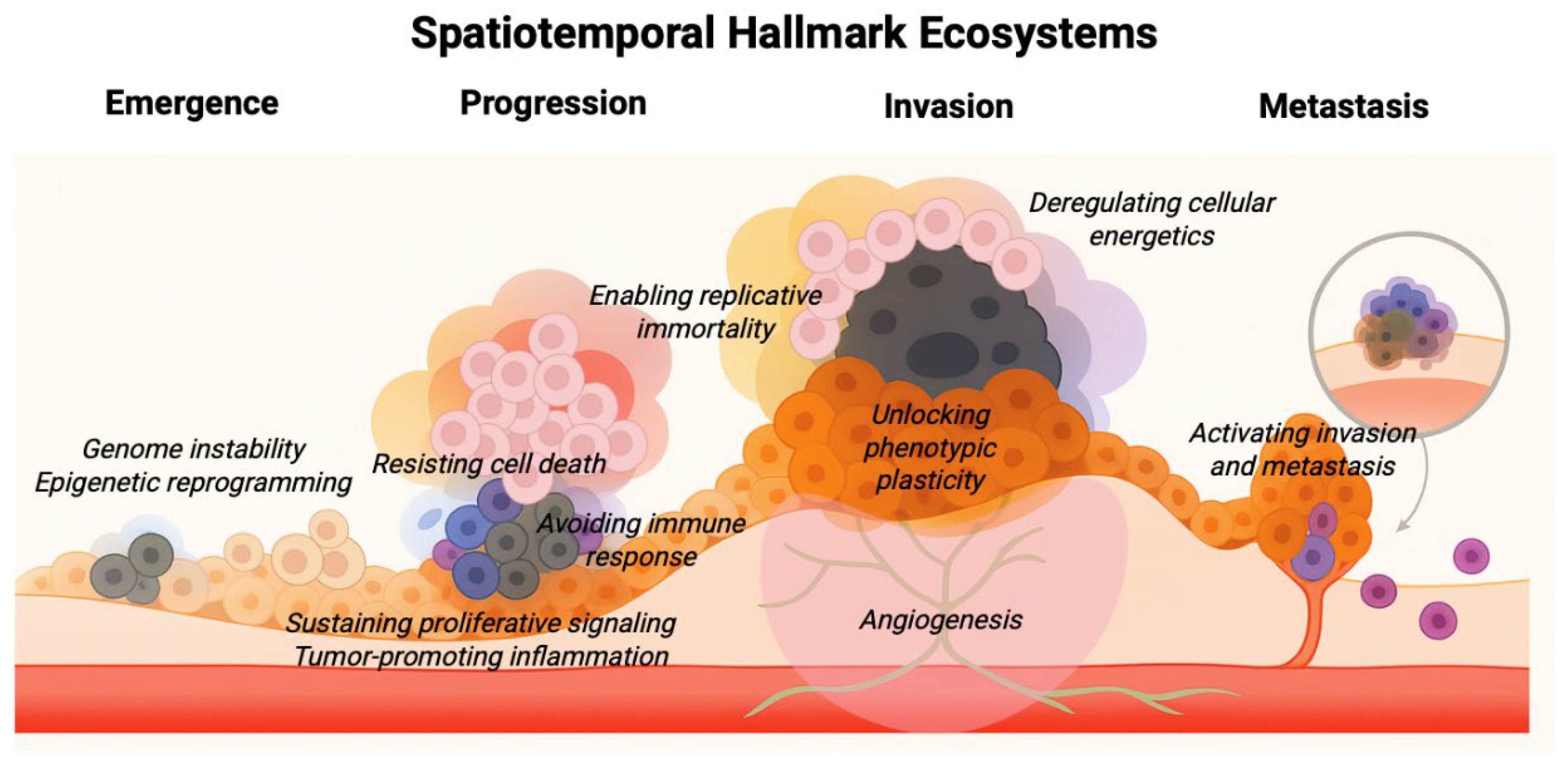 Preprints 176999 g001