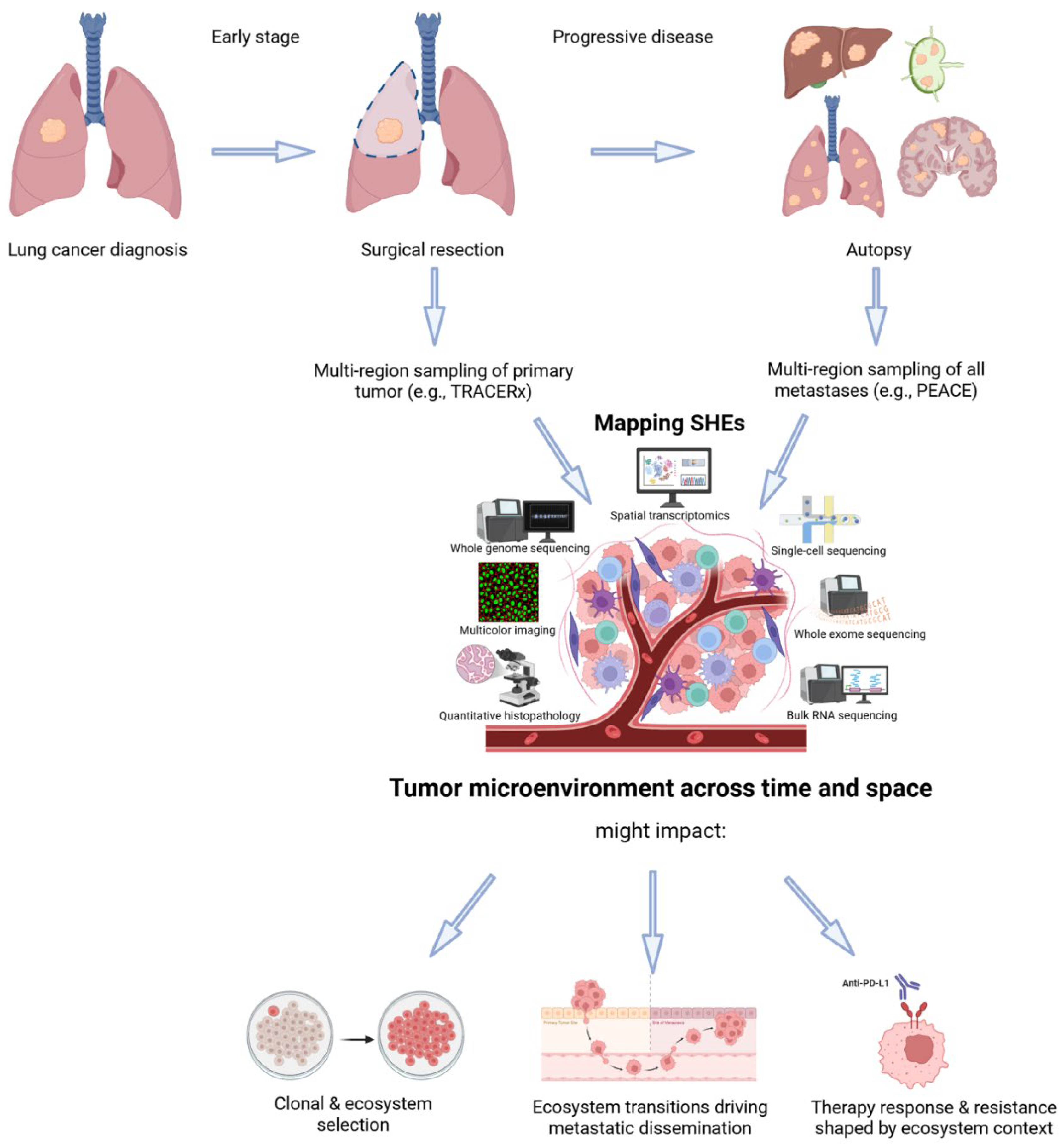 Preprints 176999 g002