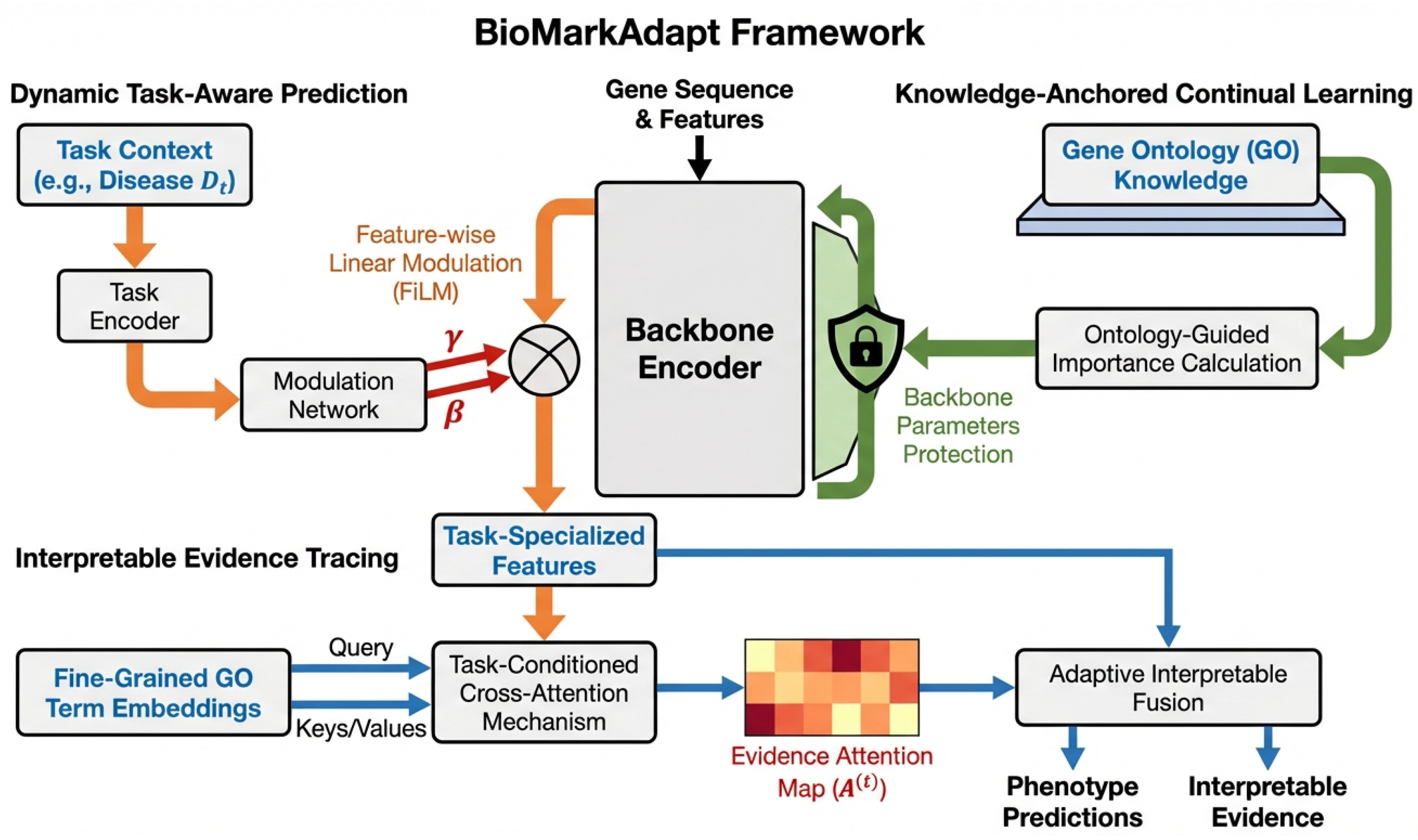 BioMarkAdapt: A Dynamic, Continual, and Interpretable Framework for ...