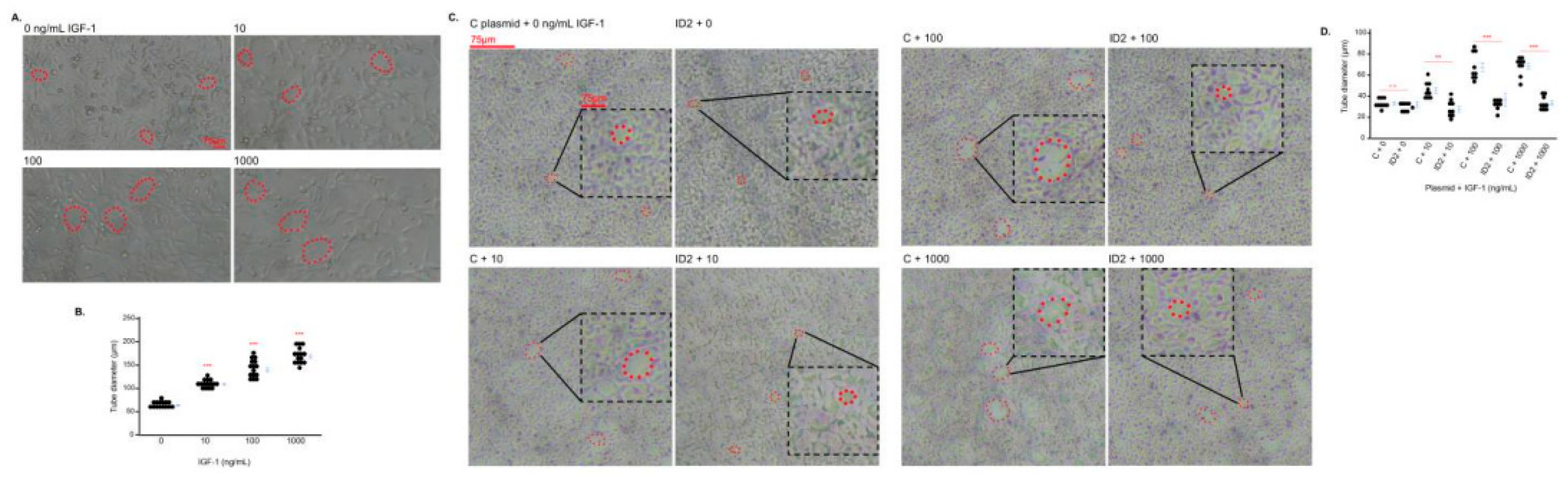 Preprints 140370 g003