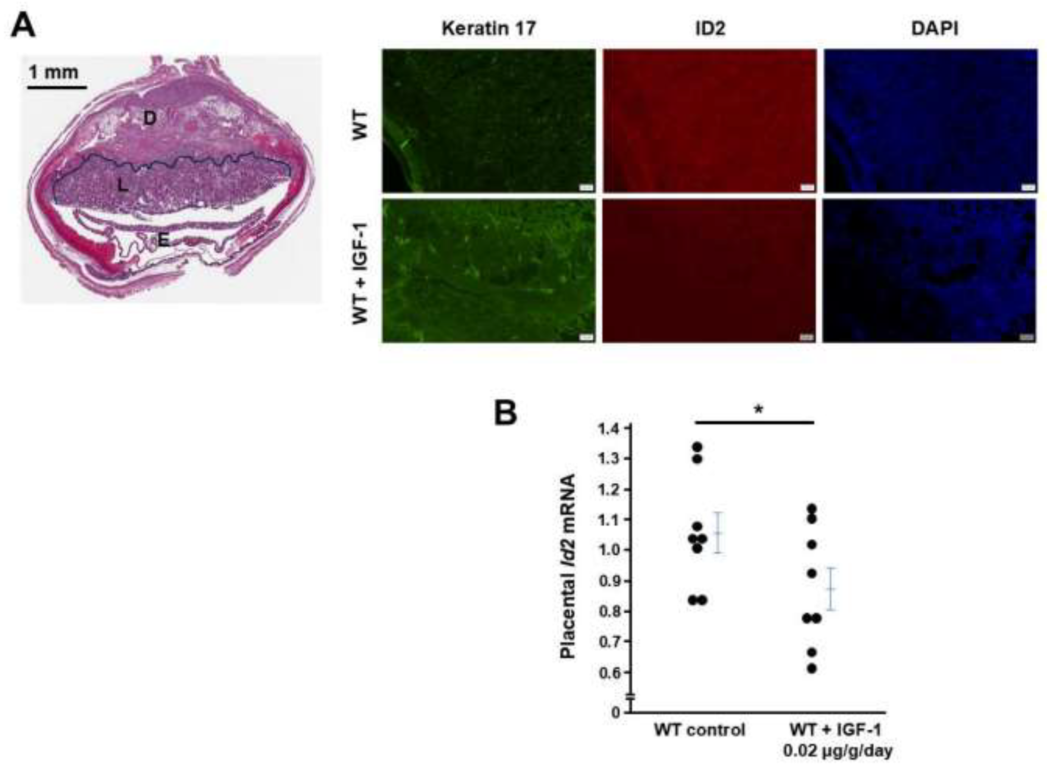 Preprints 140370 g005