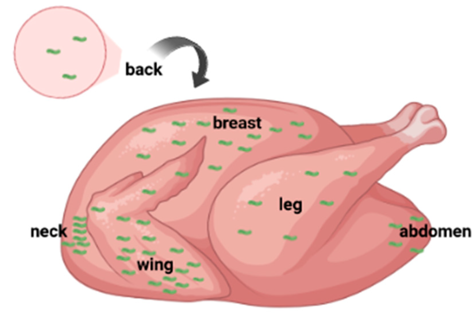 Preprints 77603 g002