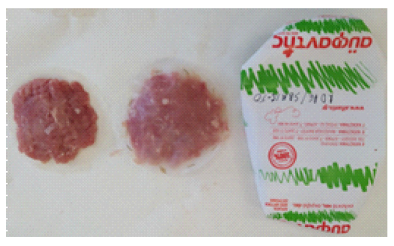 Preprints 98038 g002