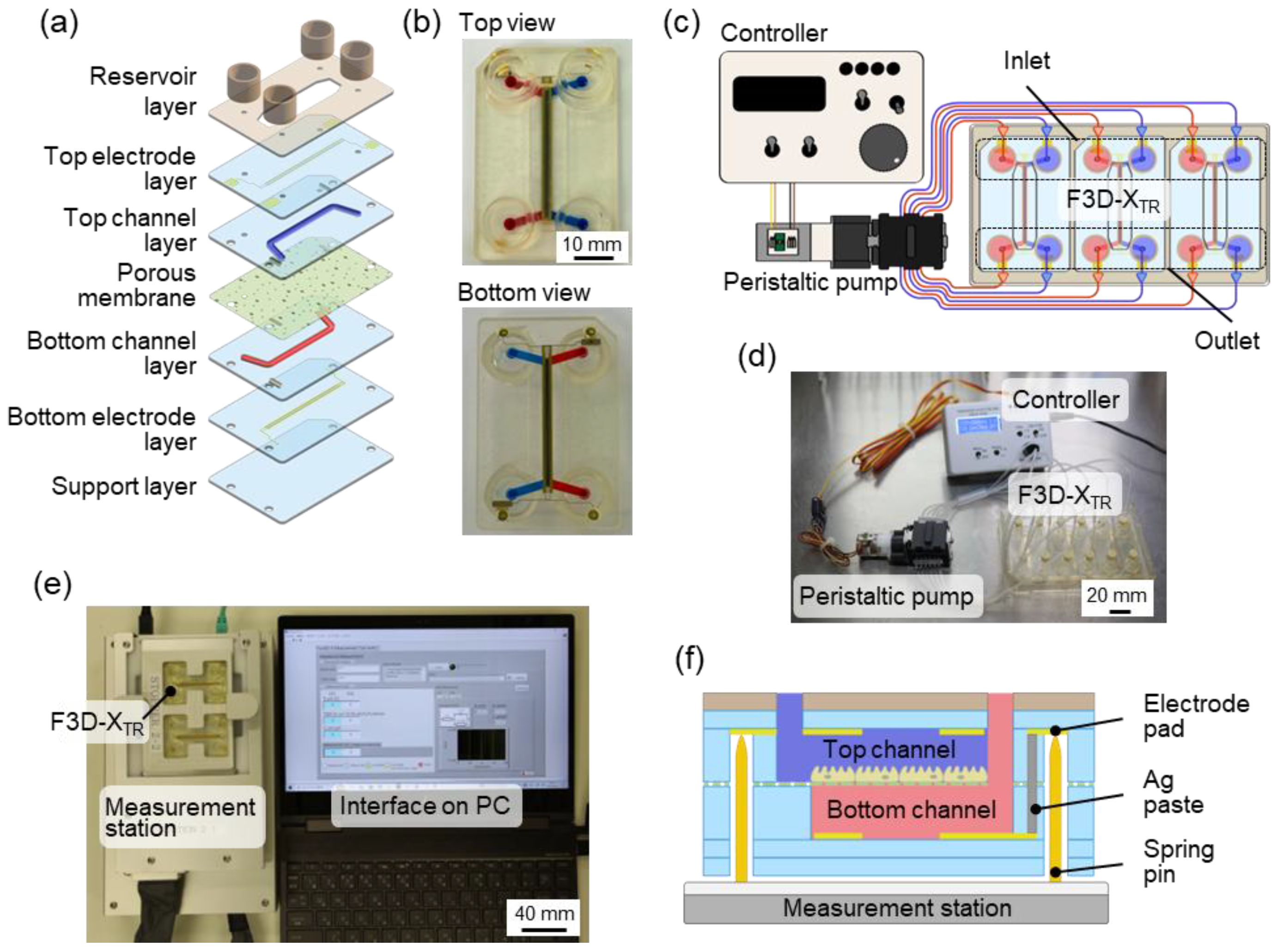 Preprints 174102 g001