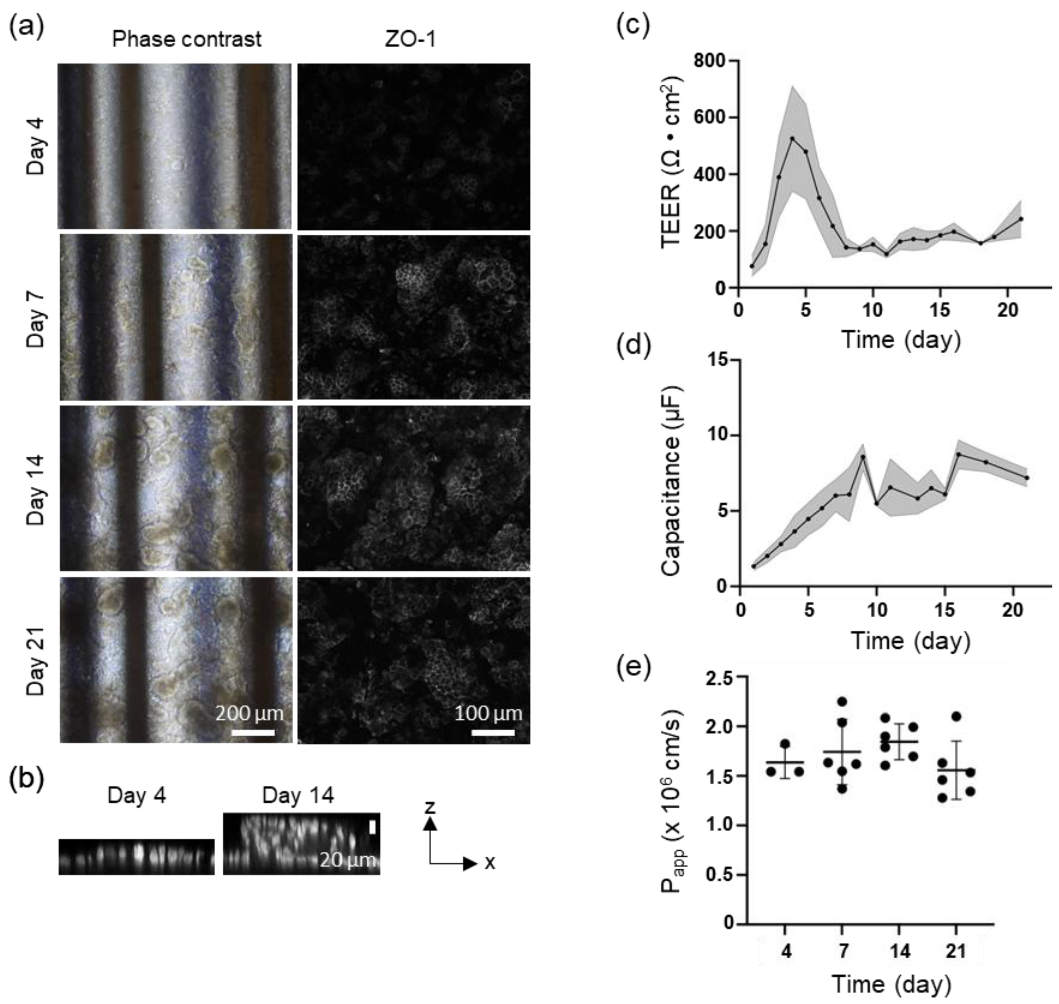 Preprints 174102 g003