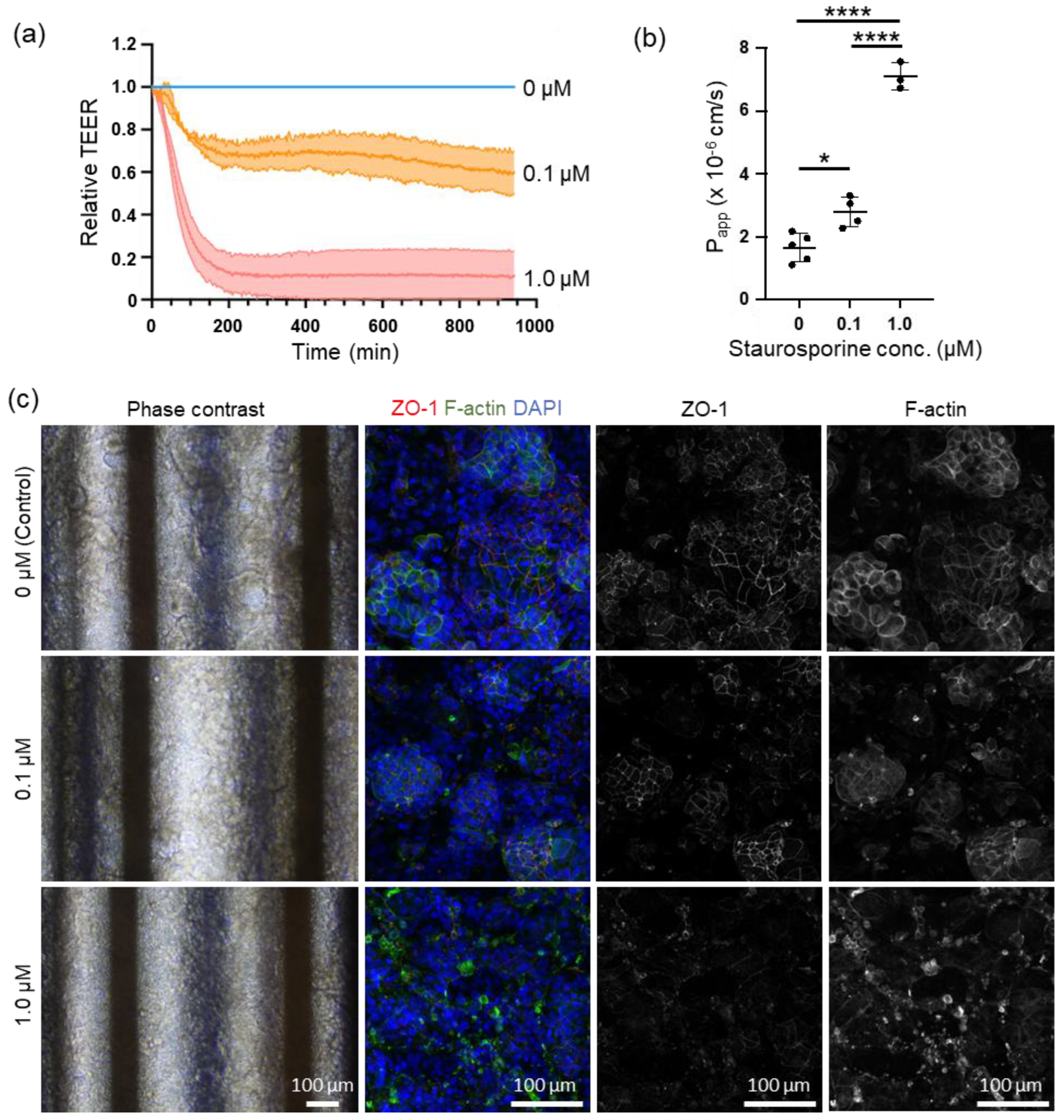 Preprints 174102 g004