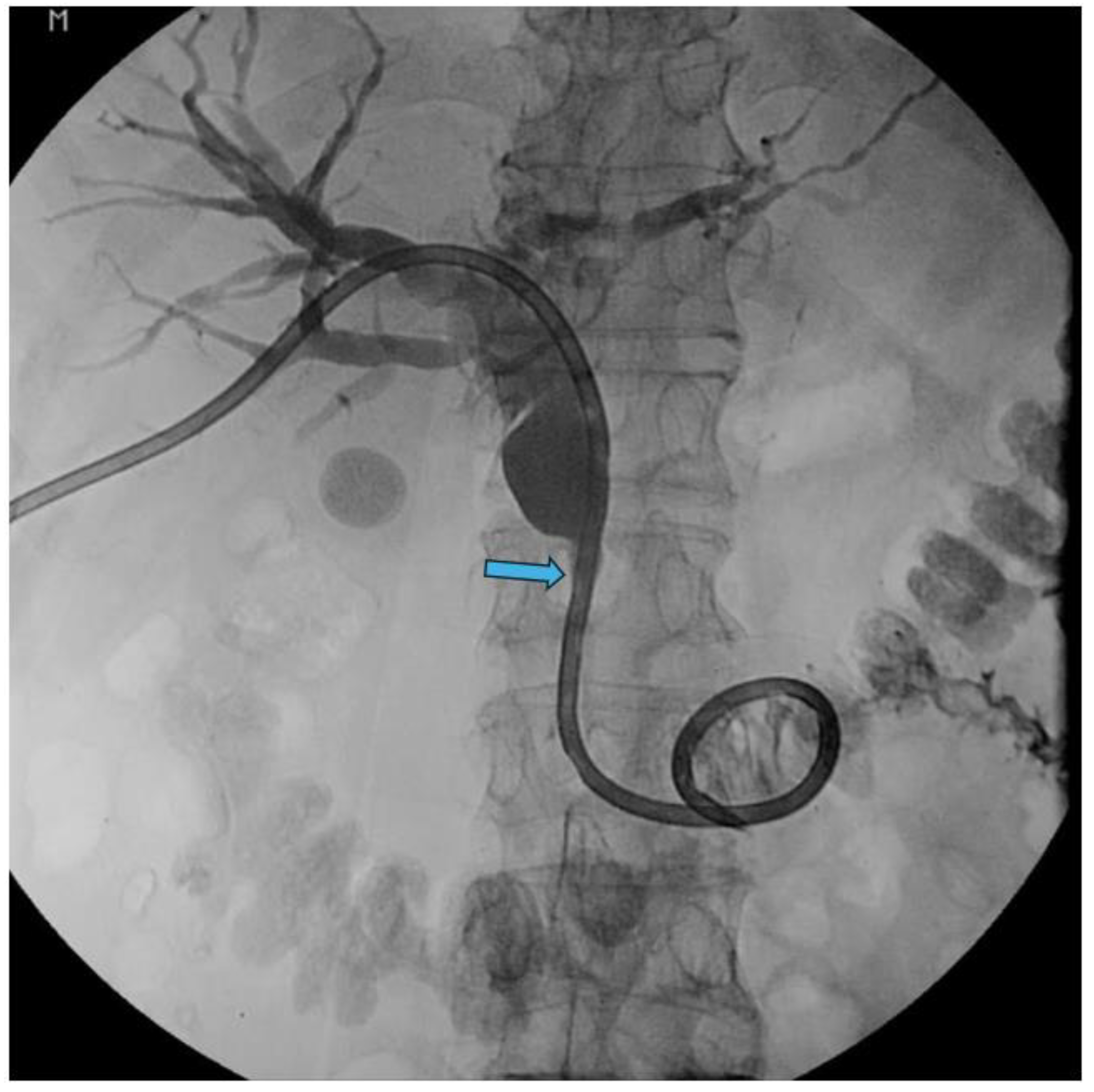 Preprints 140136 g002