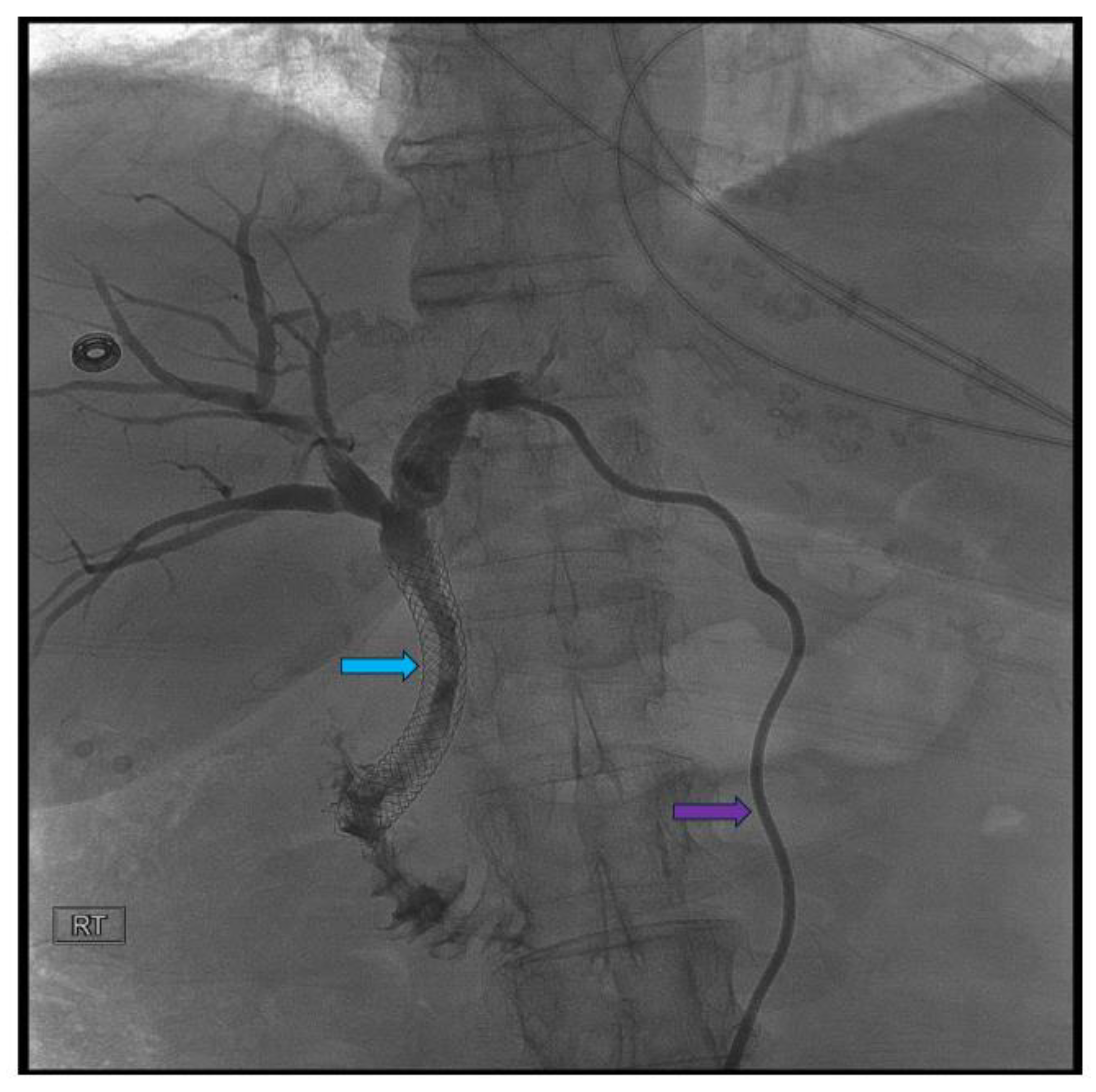 Preprints 140136 g003