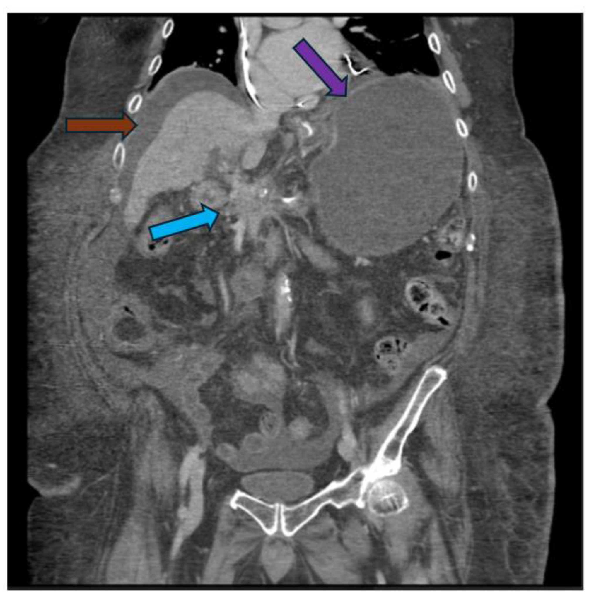 Preprints 140136 g004