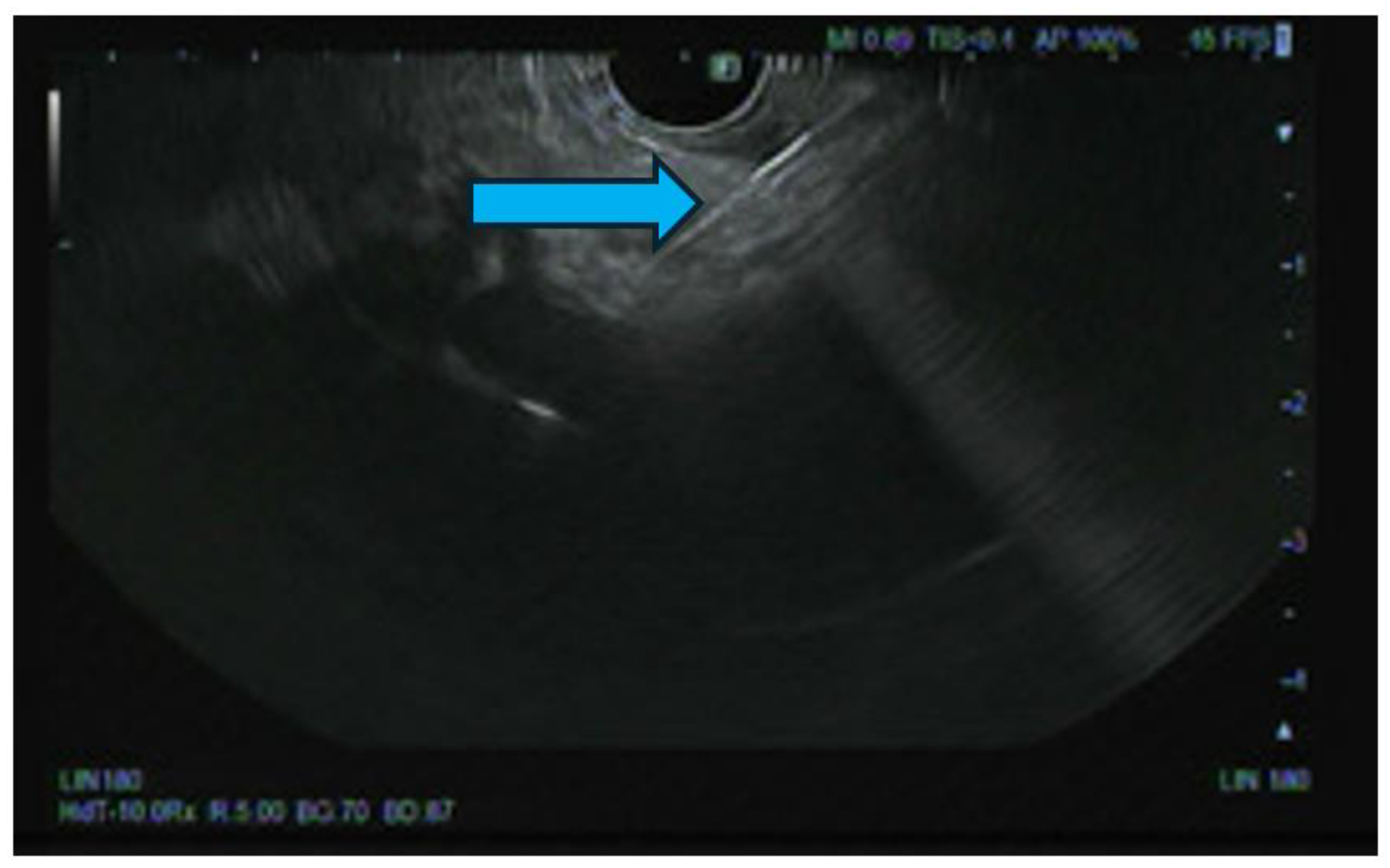 Preprints 140136 g005