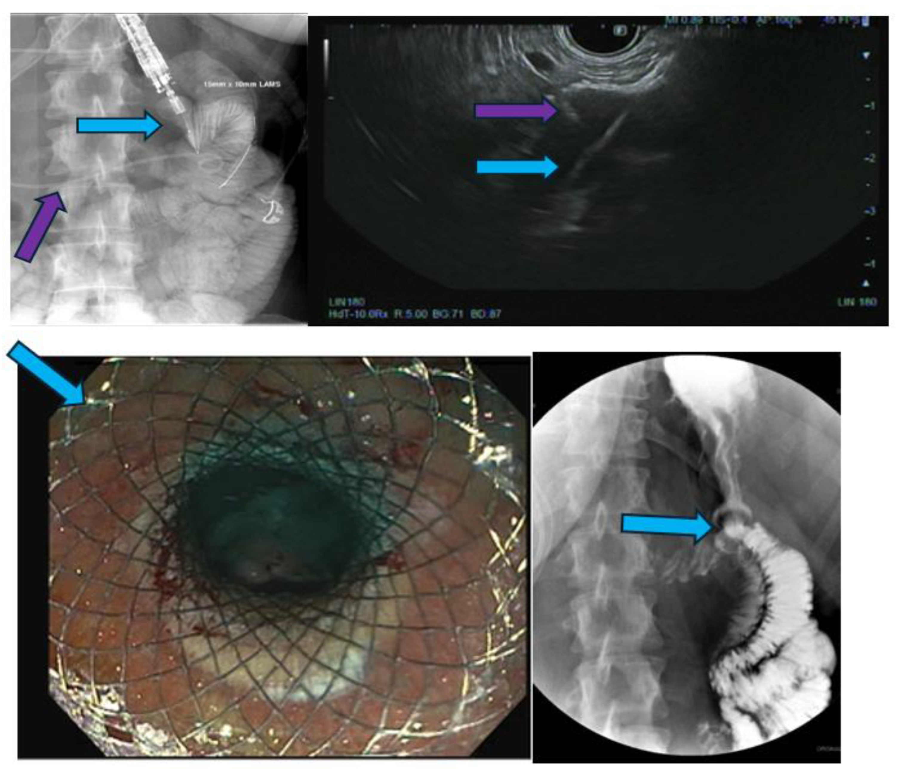 Preprints 140136 sch004