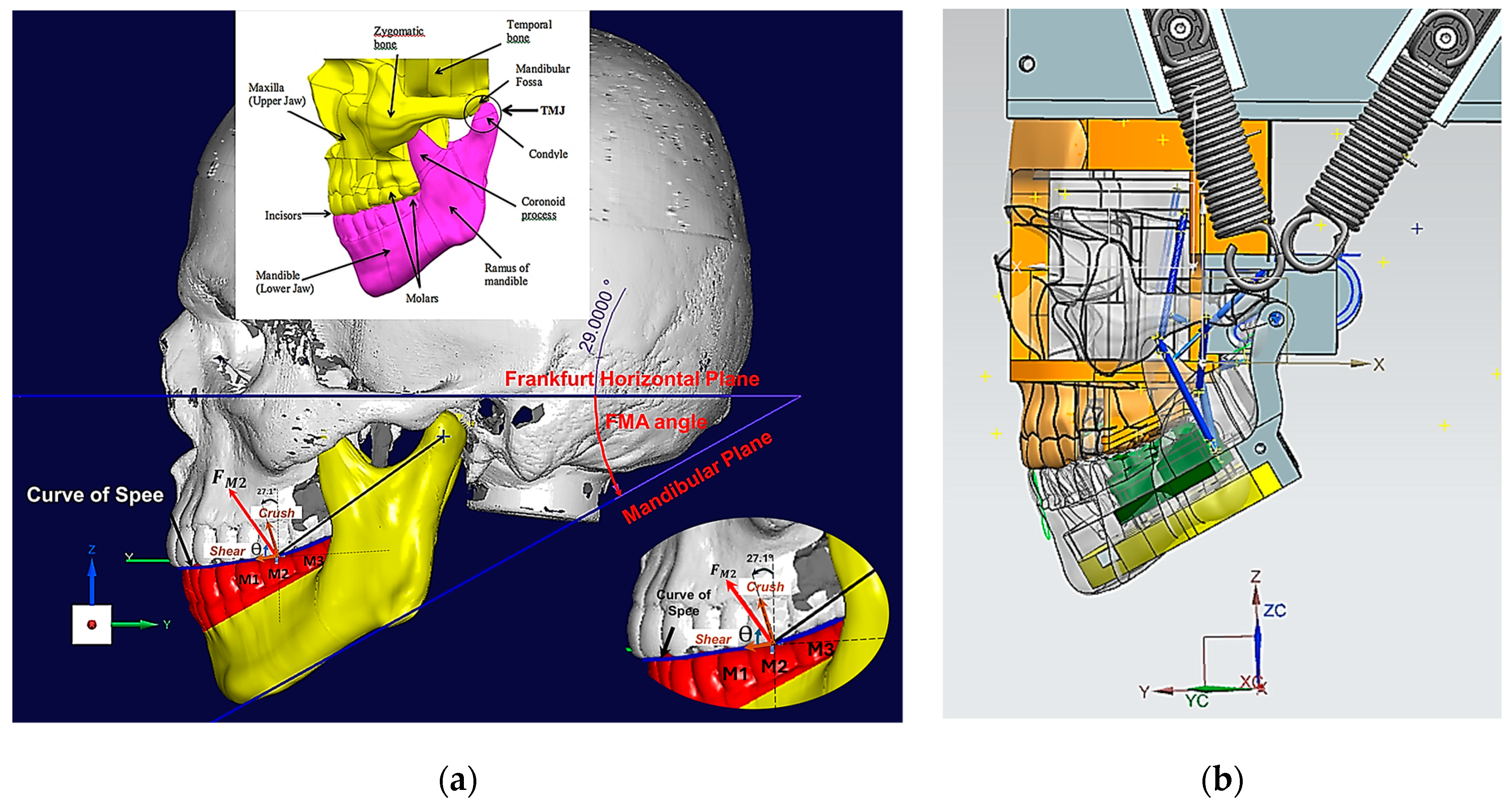 Preprints 163784 g001