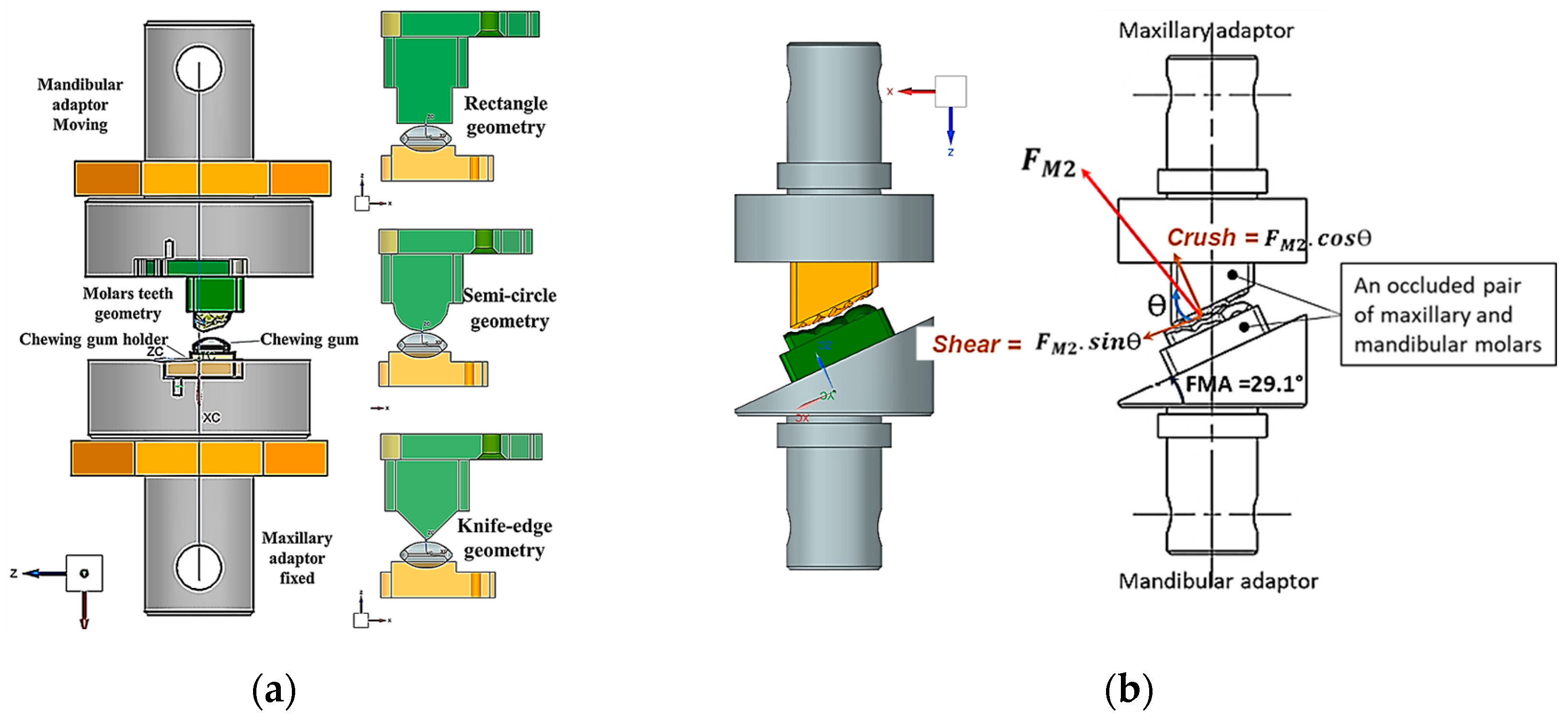 Preprints 163784 g003
