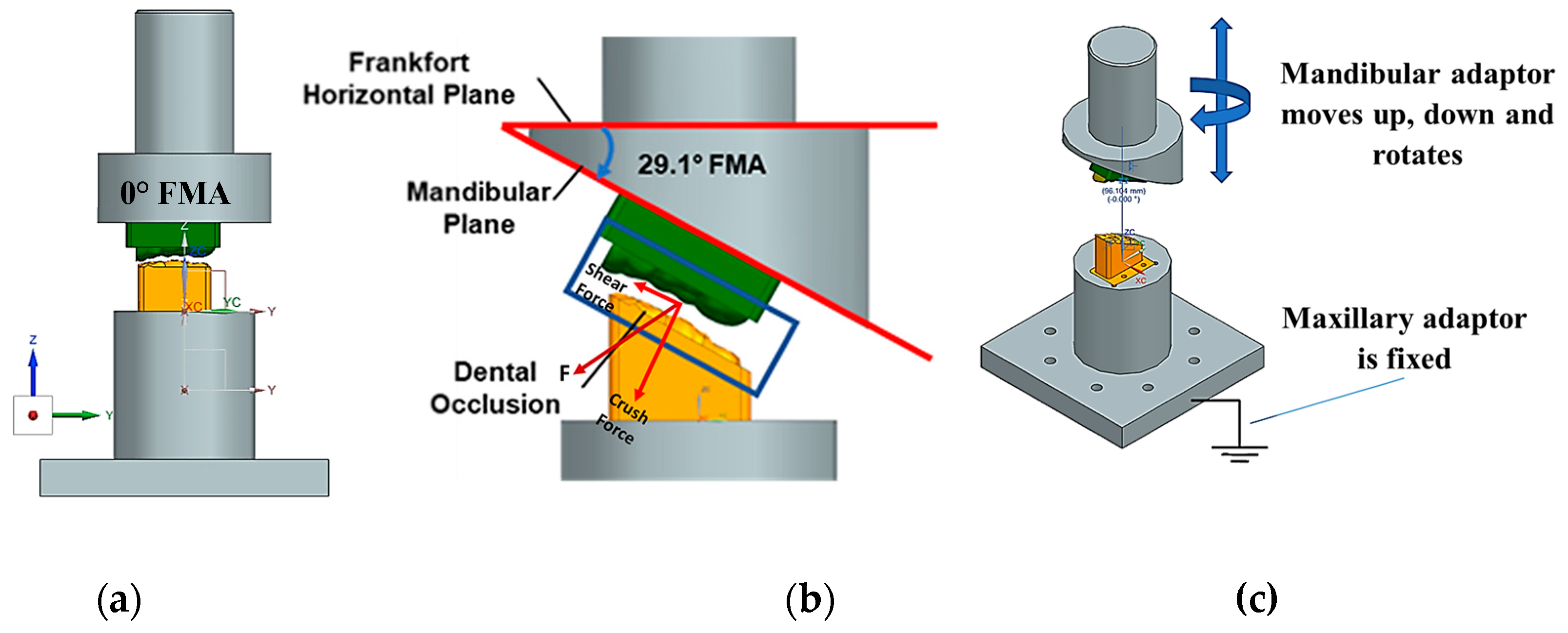 Preprints 163784 g005