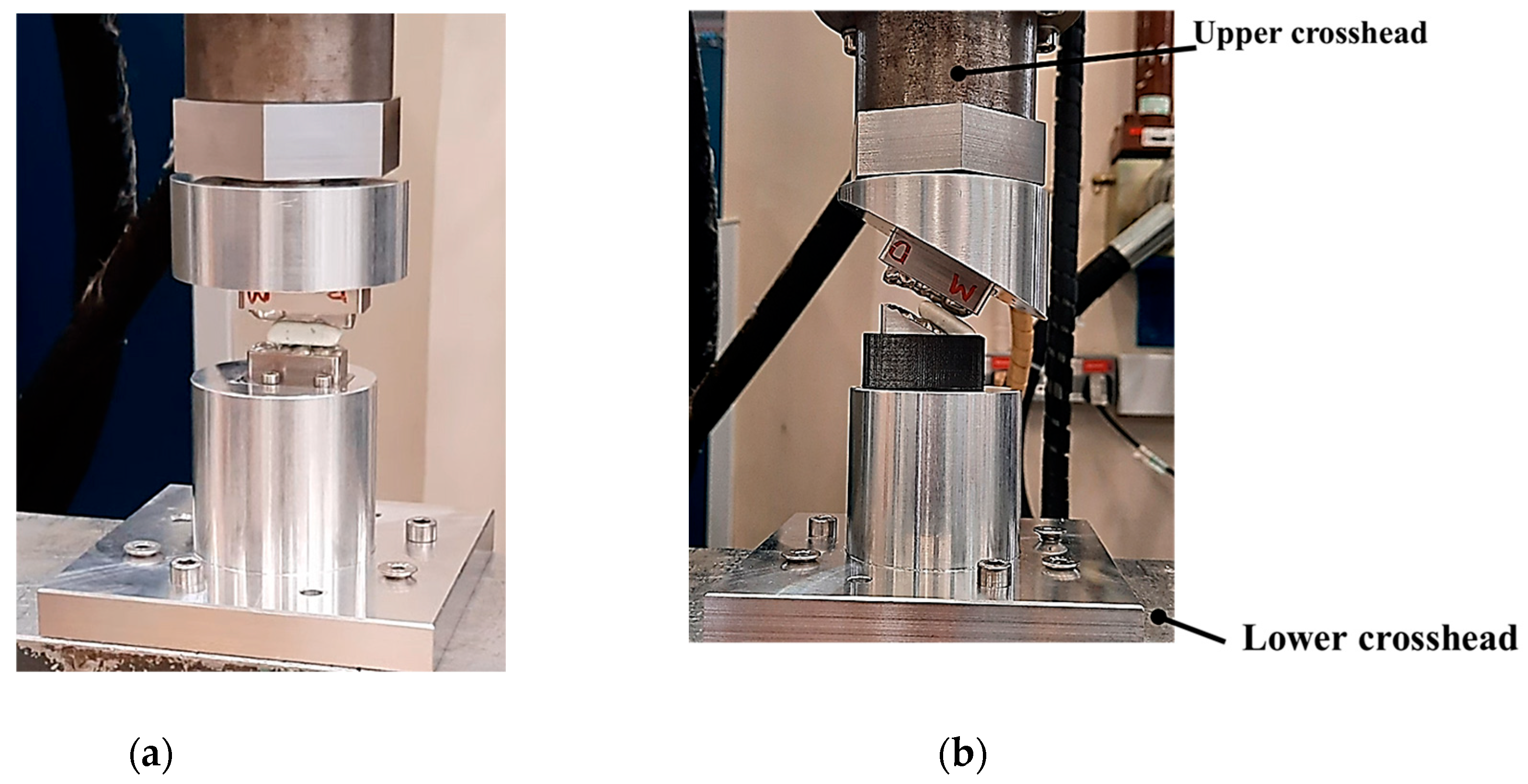 Preprints 163784 g006