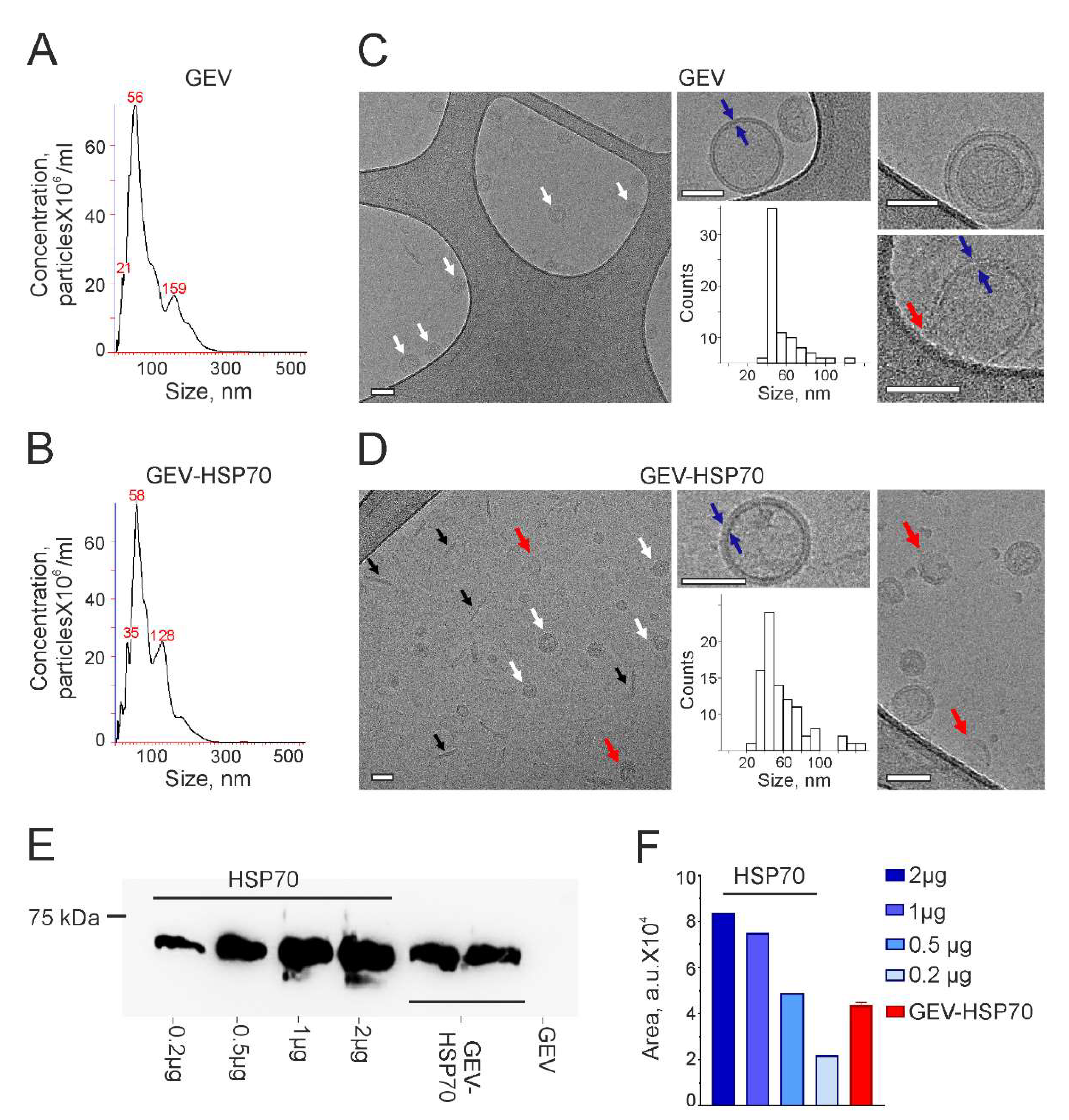 Preprints 137742 g001