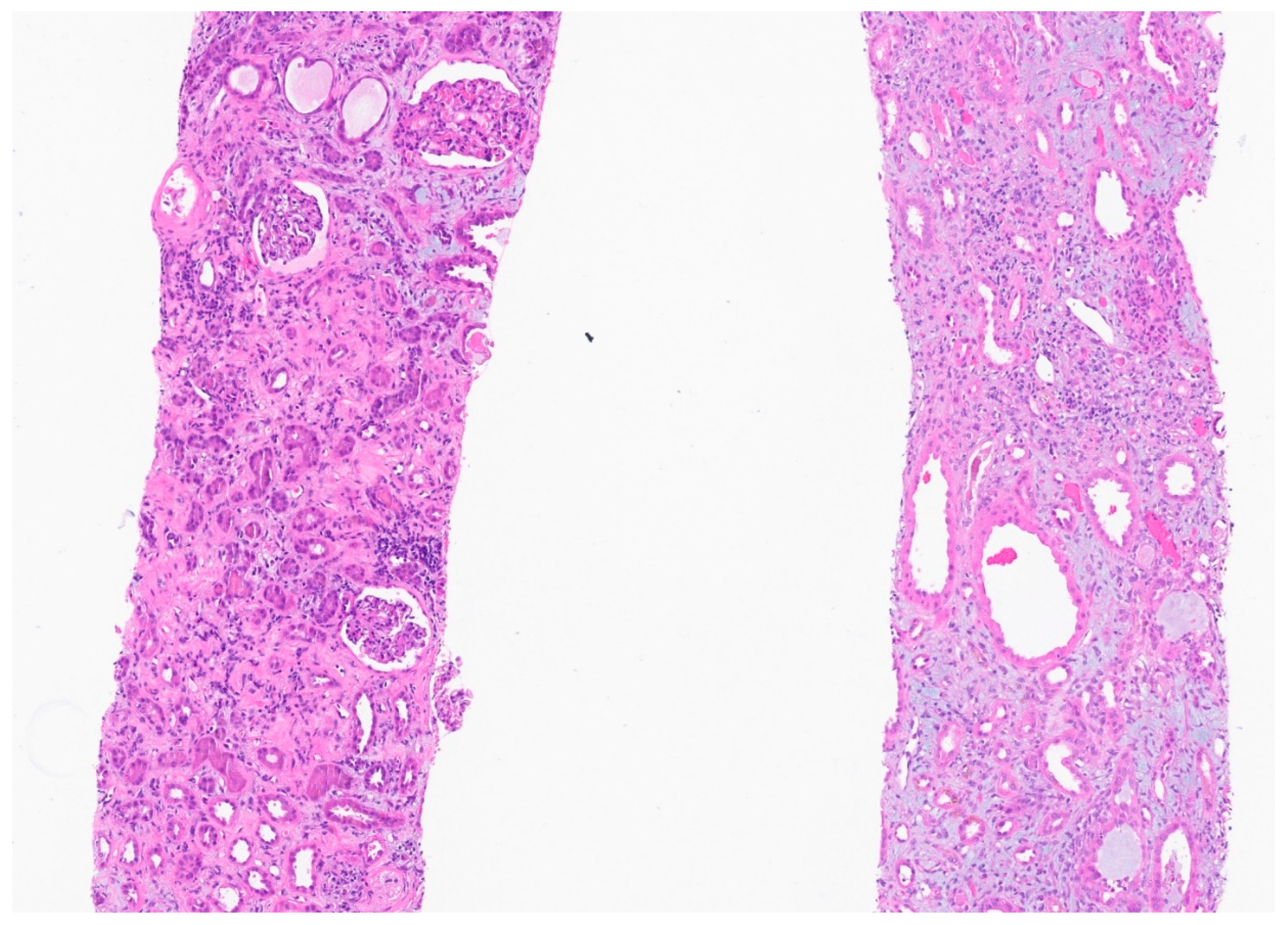 Preprints 92303 g001