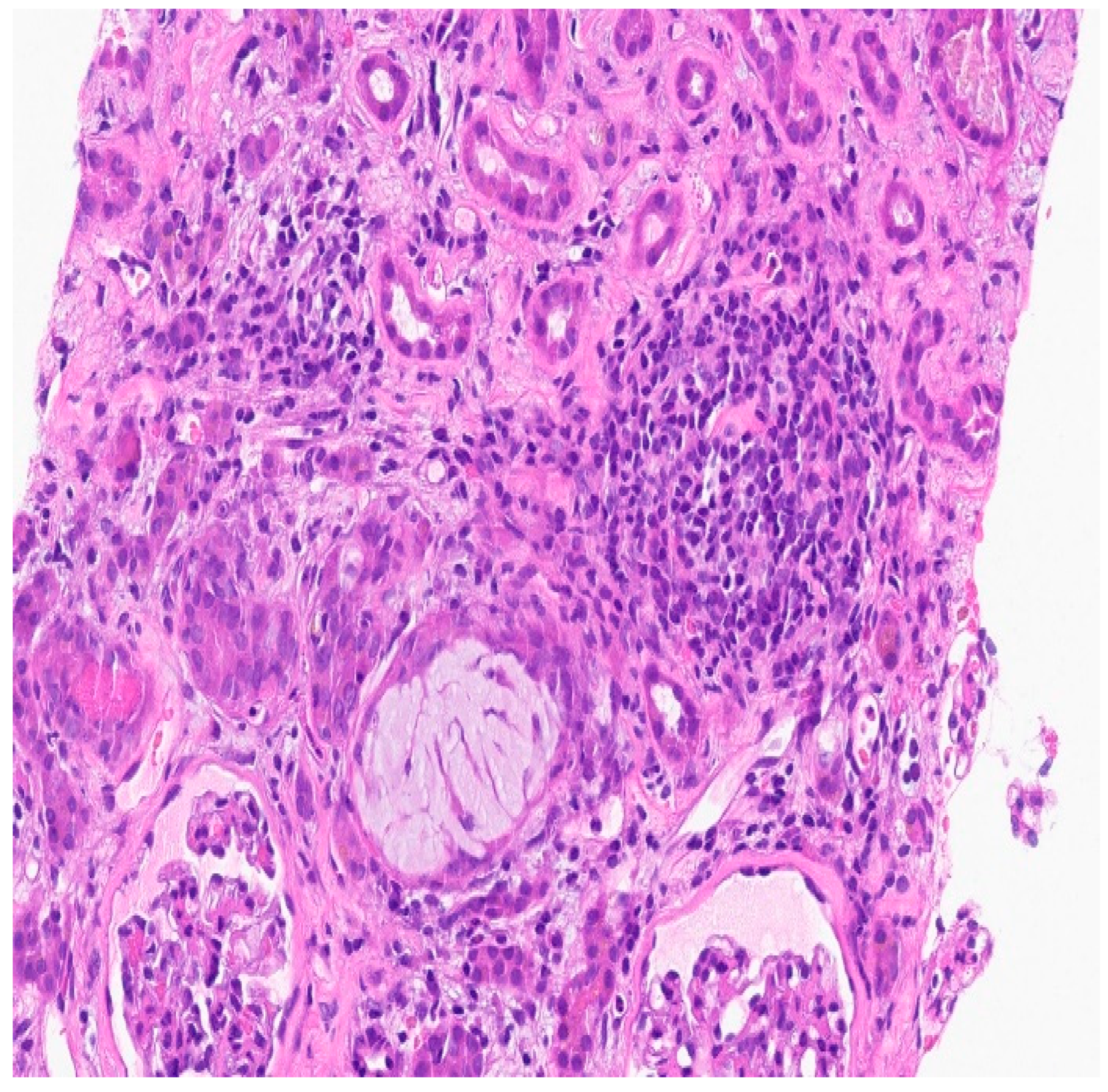 Preprints 92303 g002