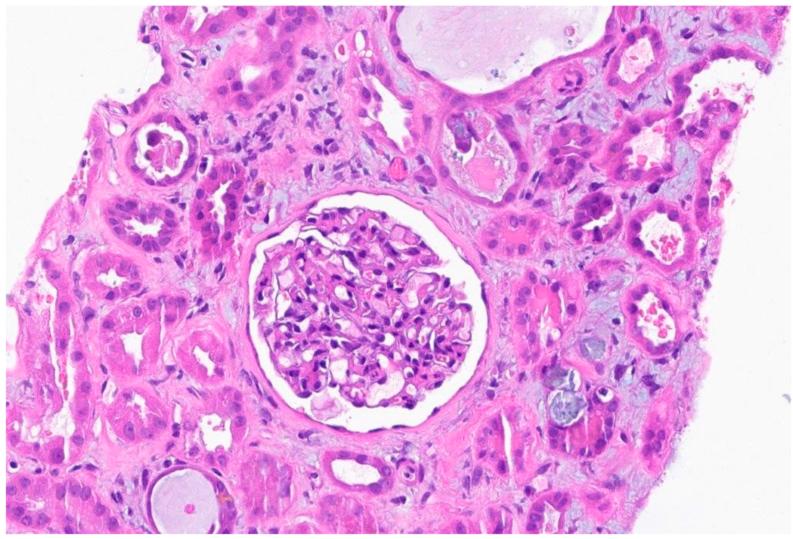 Preprints 92303 g003