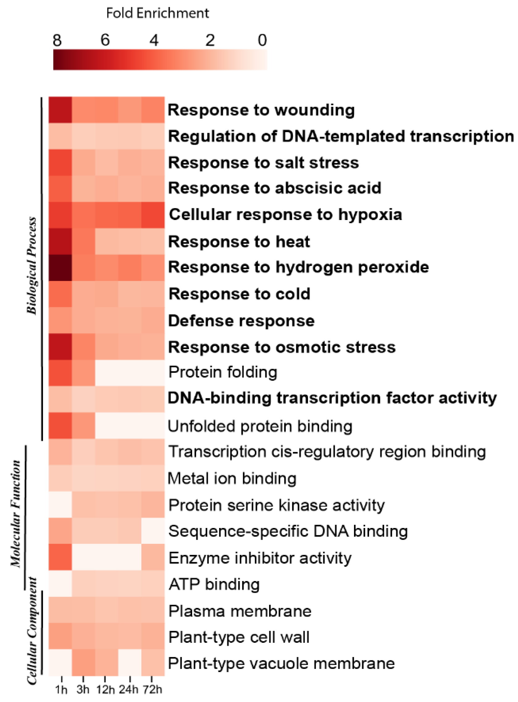Preprints 188601 g004