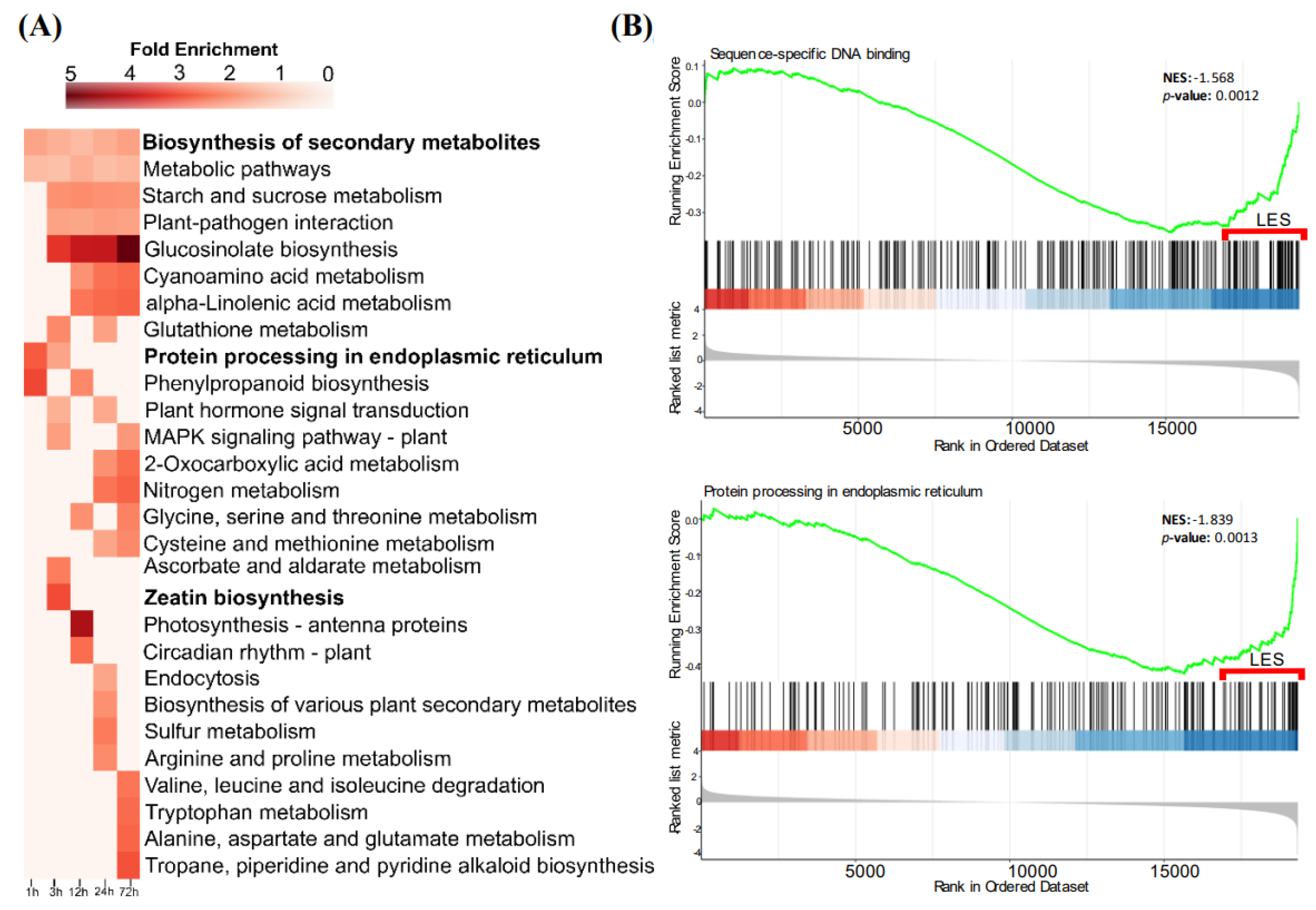 Preprints 188601 g005