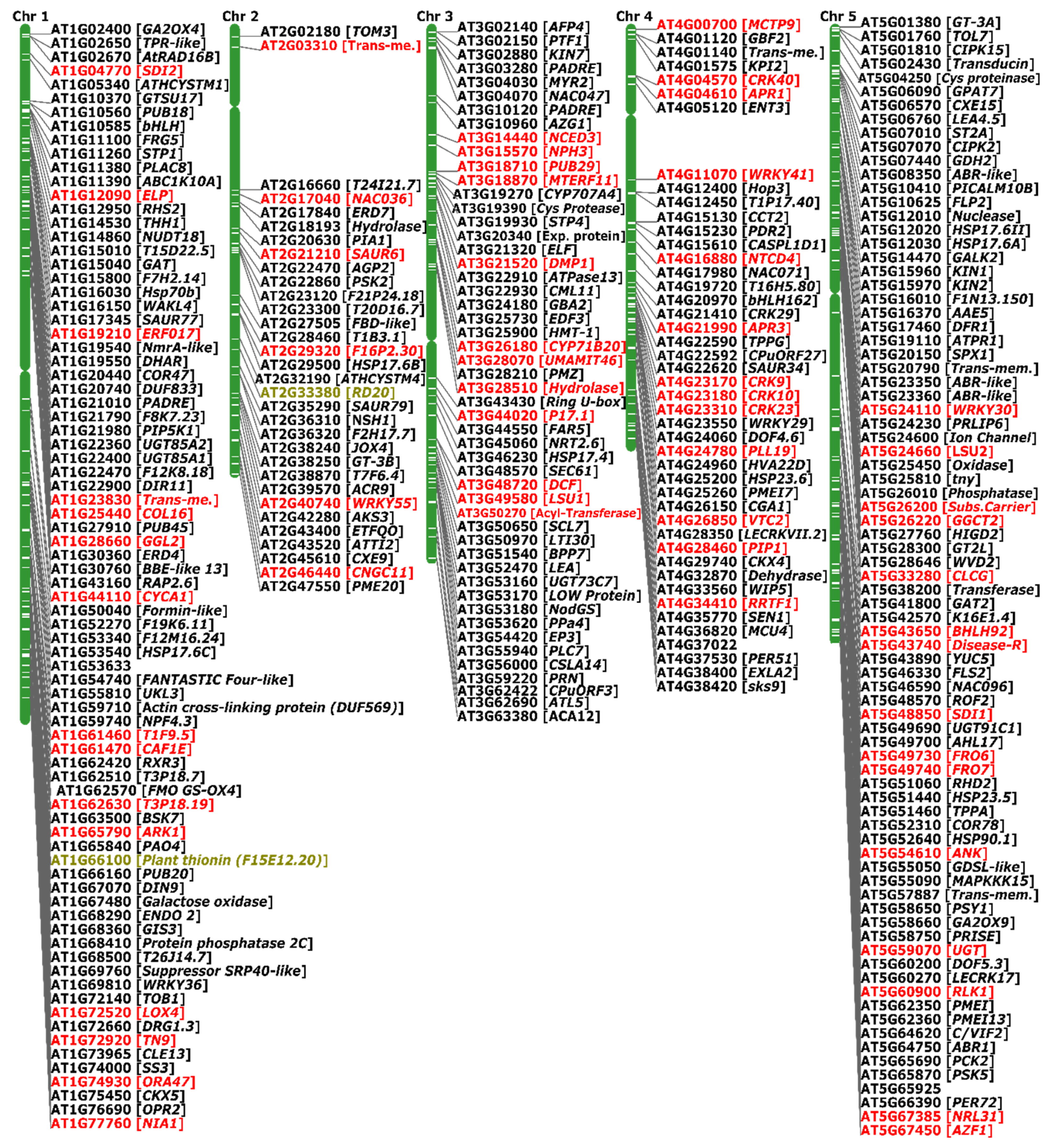 Preprints 188601 g006