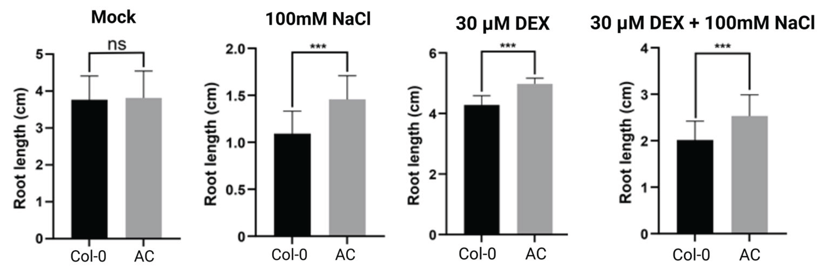 Preprints 188601 g009