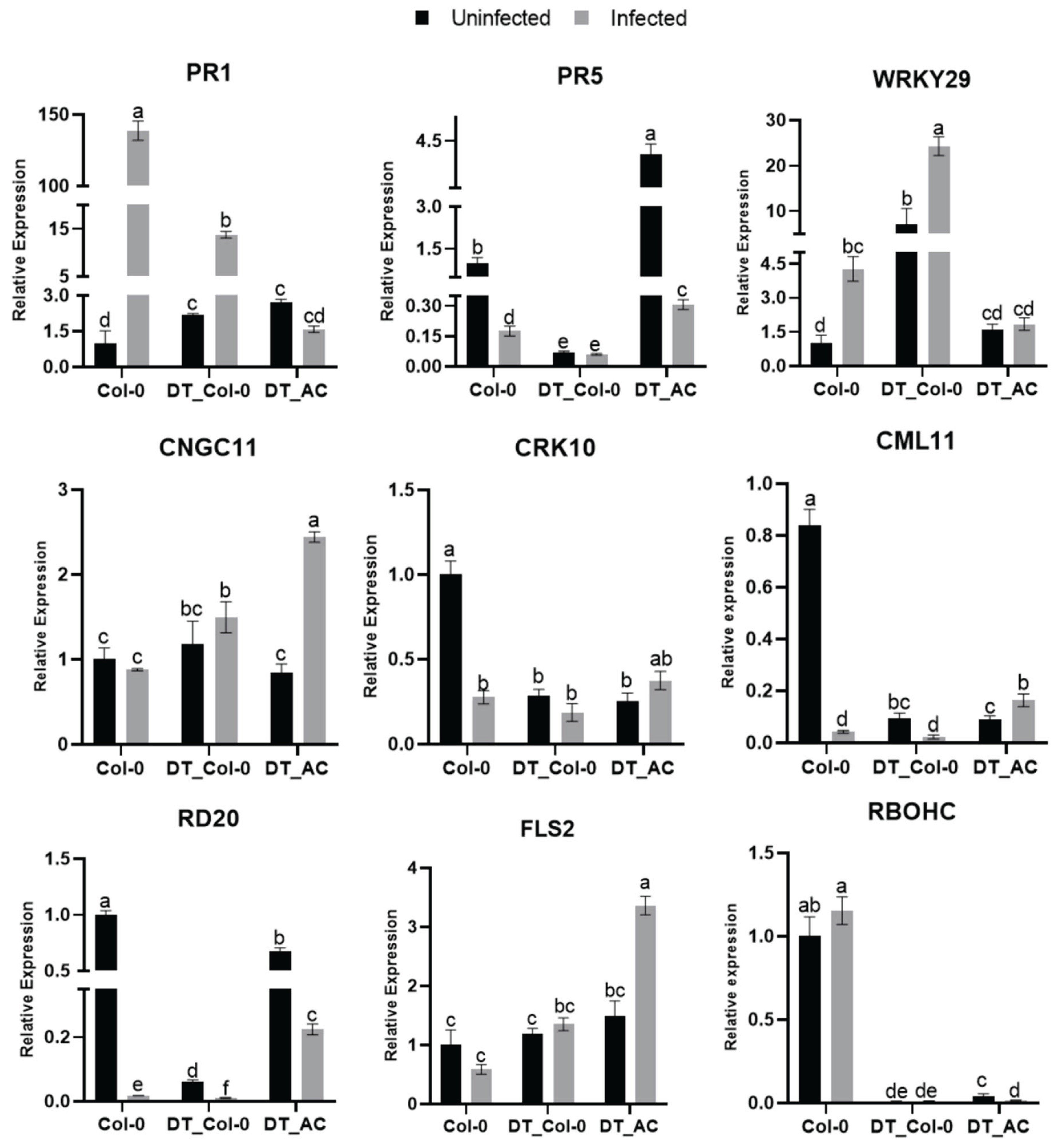 Preprints 188601 g015