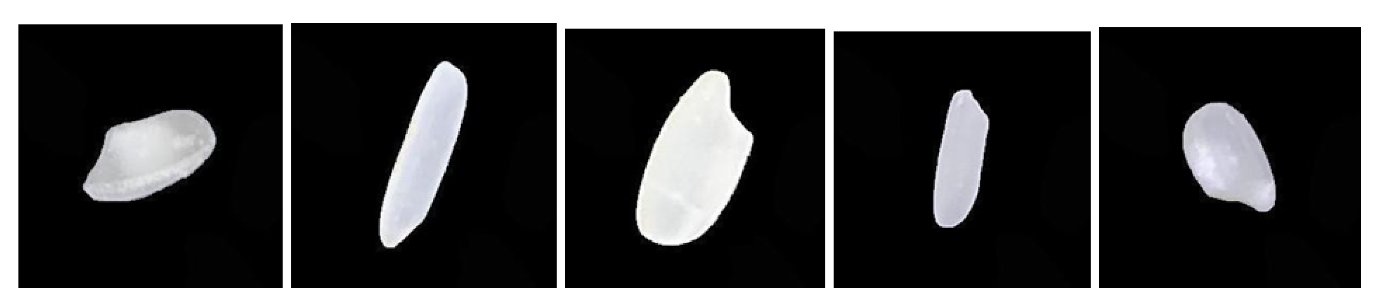 Preprints 182397 g001