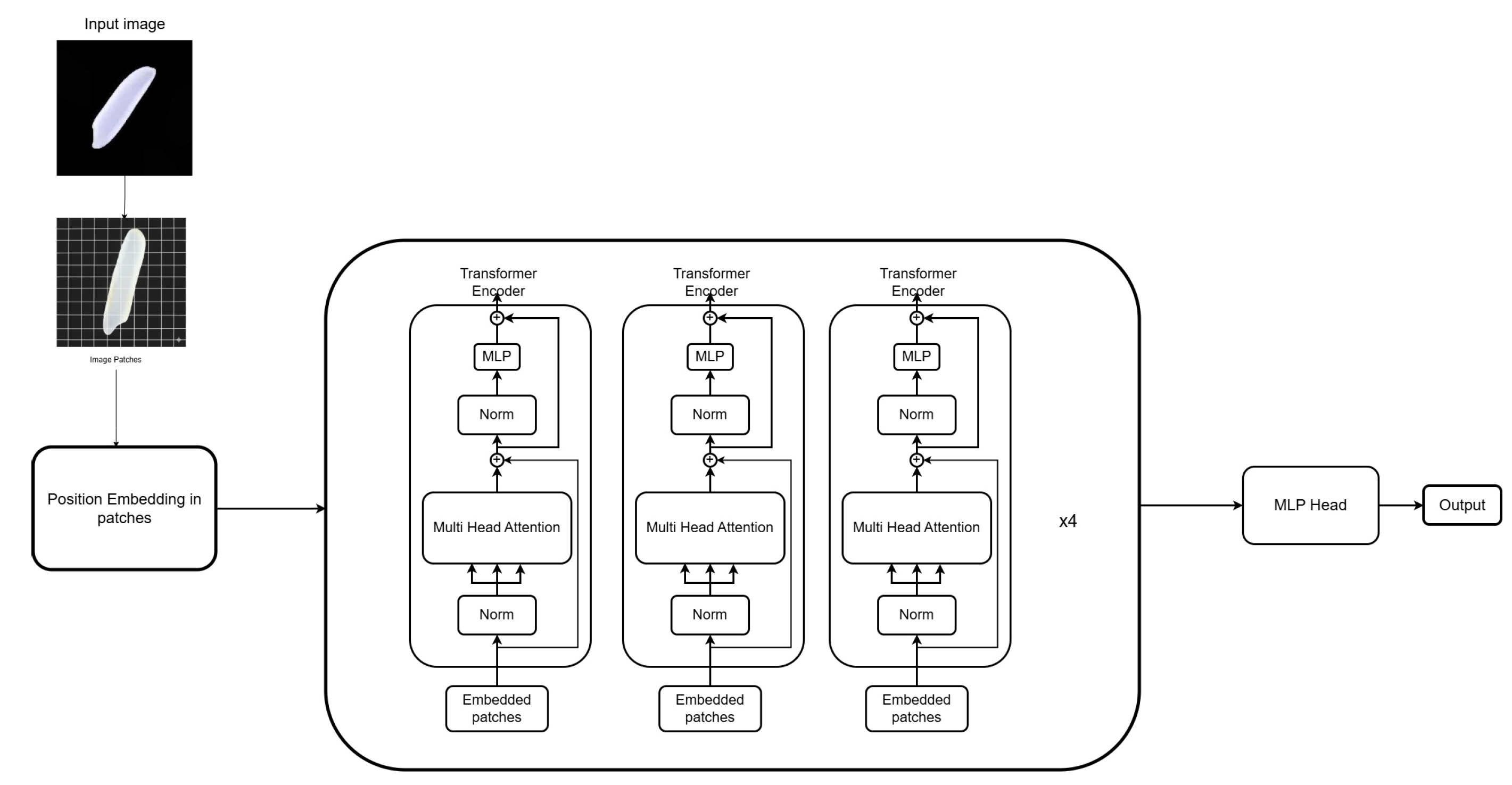 Preprints 182397 g002