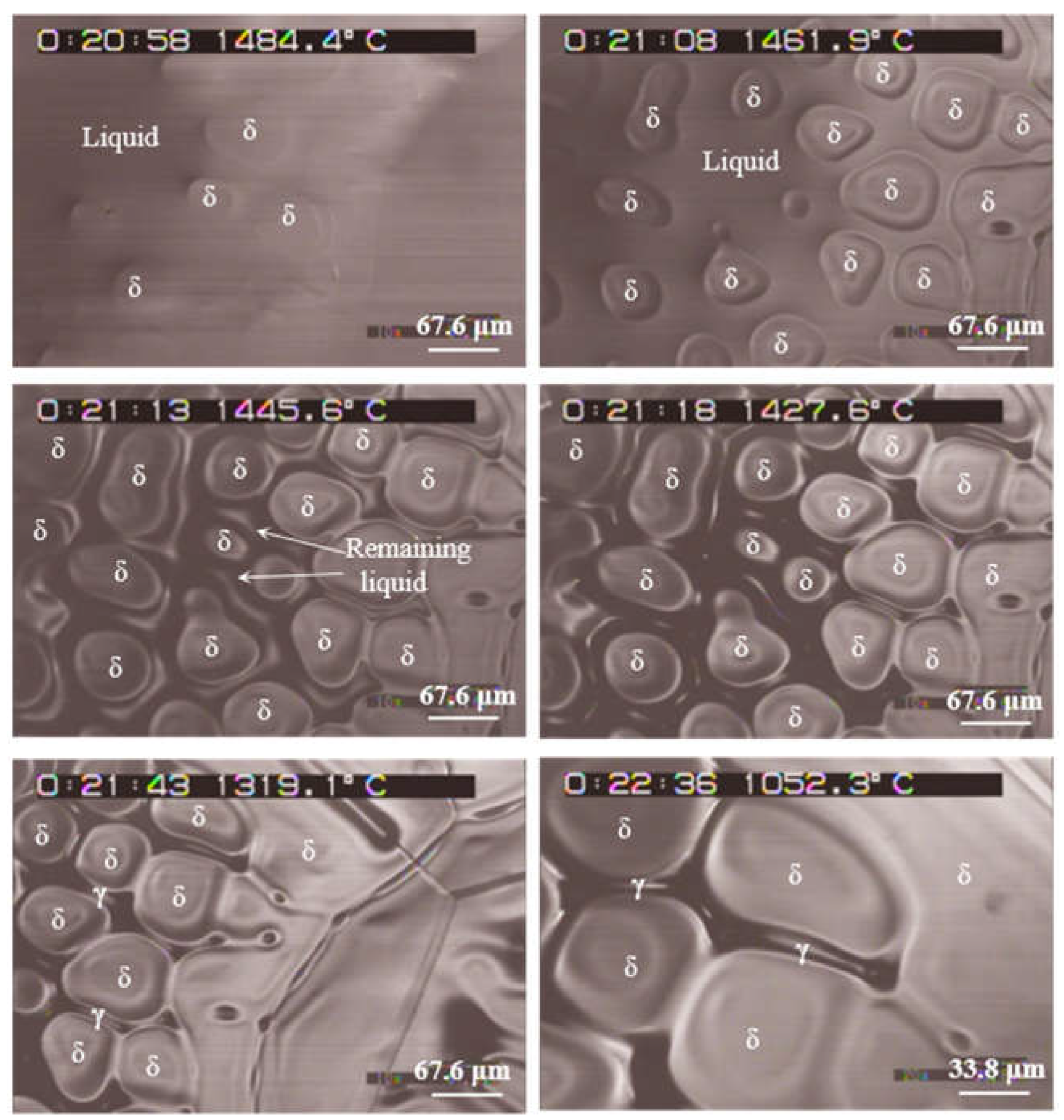 Preprints 72891 g003