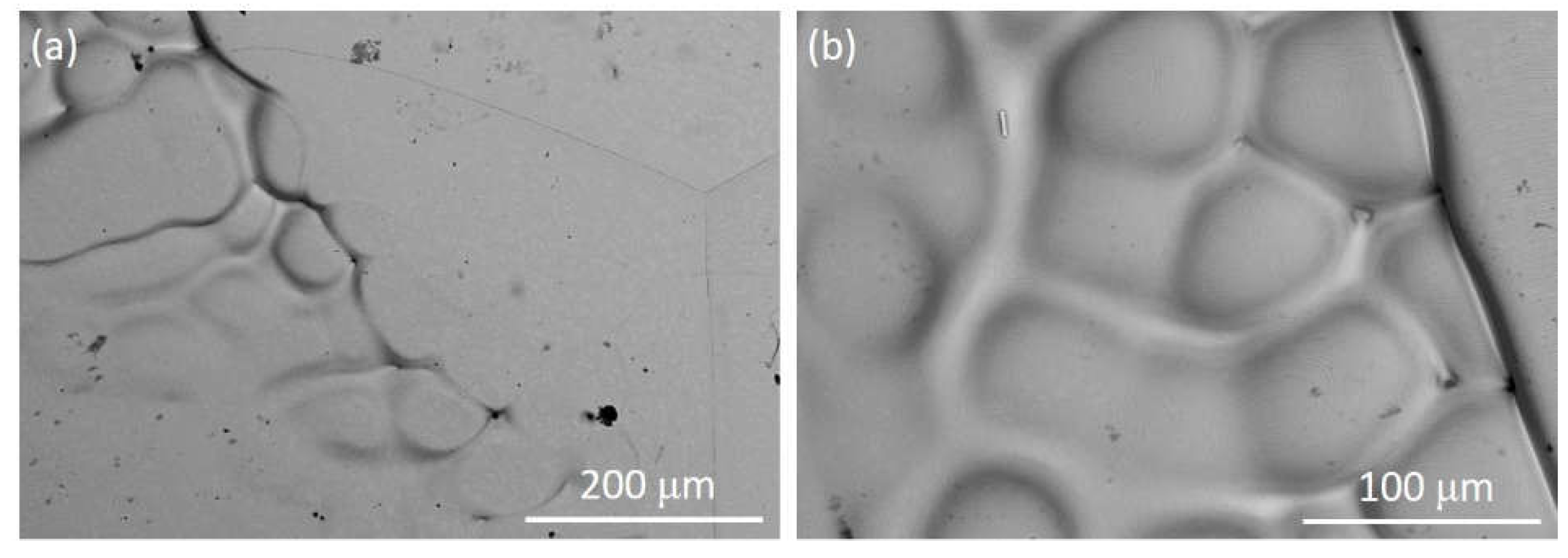 Preprints 72891 g008