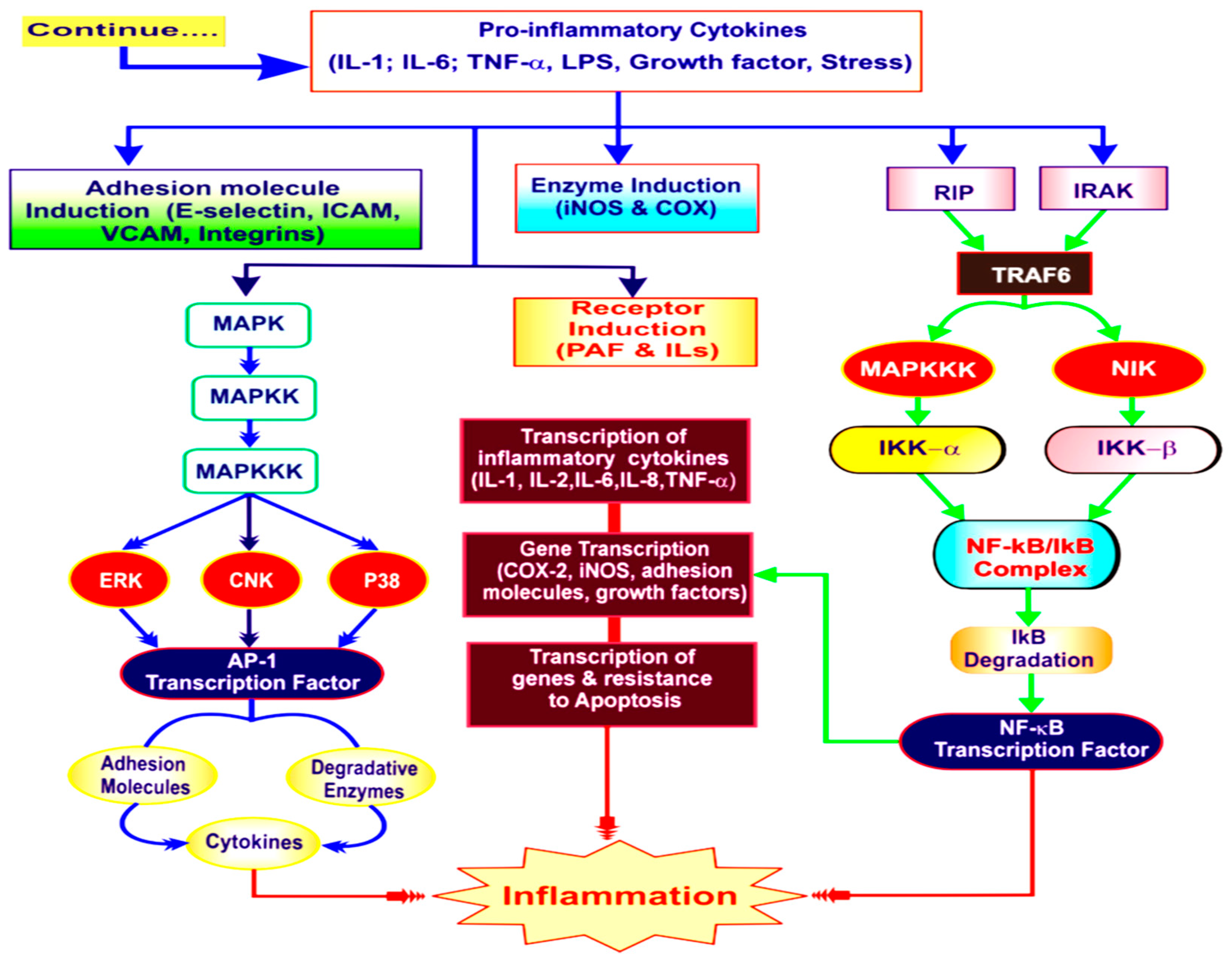 Preprints 100985 g001