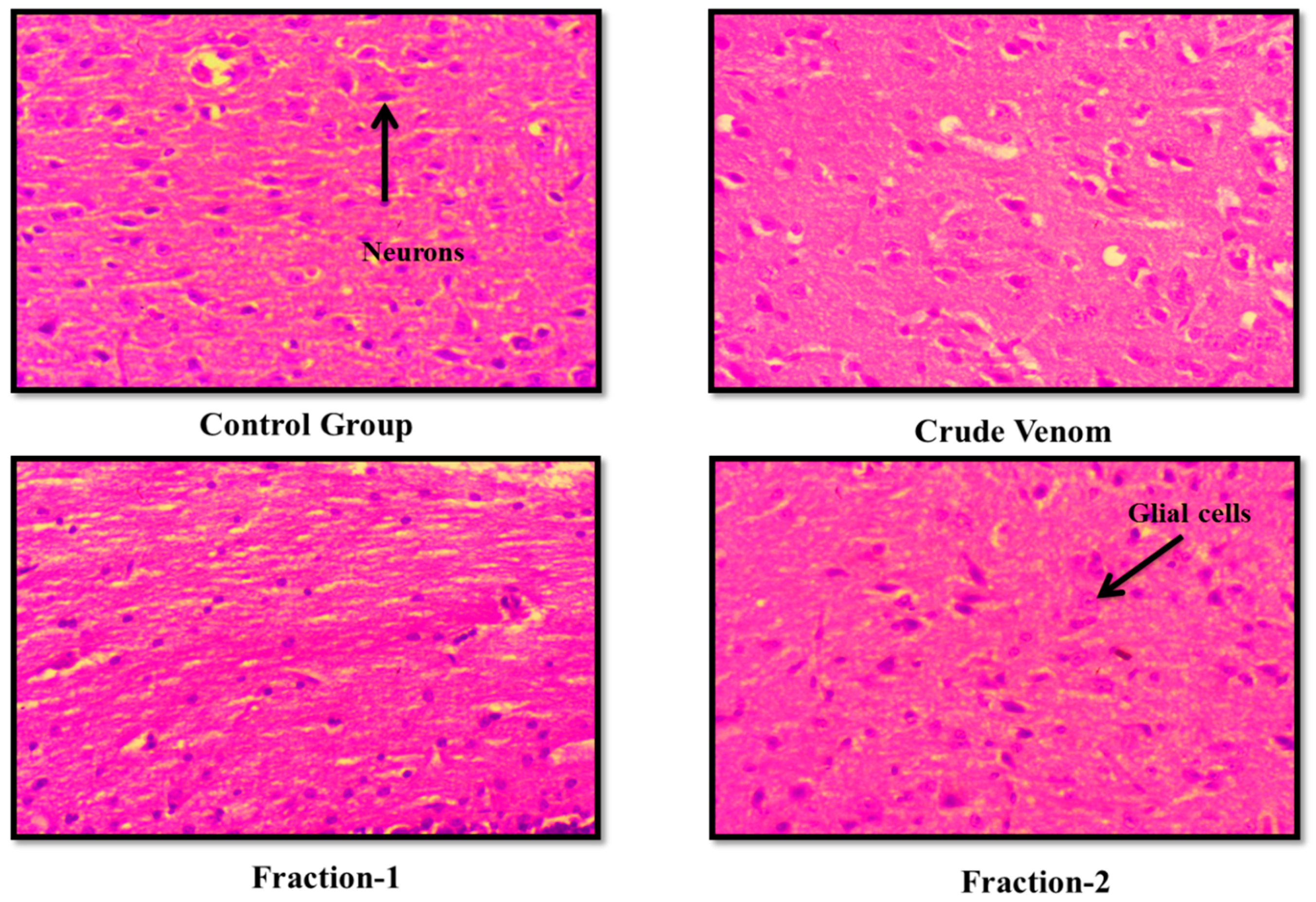 Preprints 100985 g003