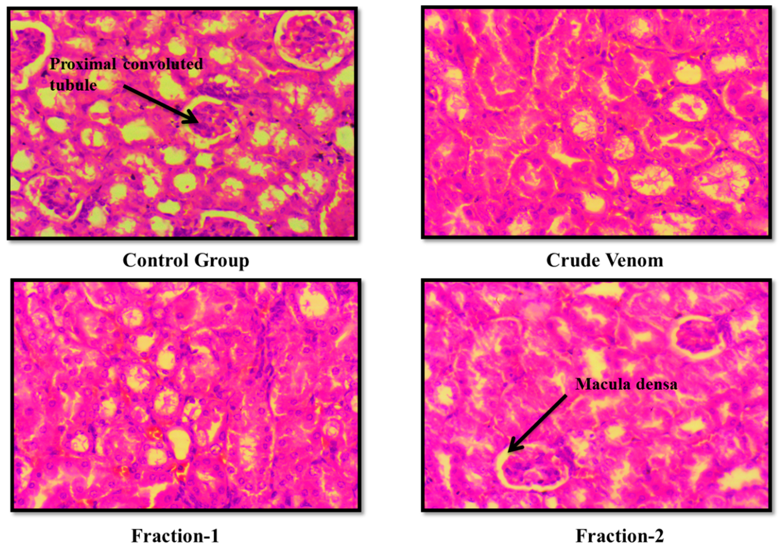 Preprints 100985 g006