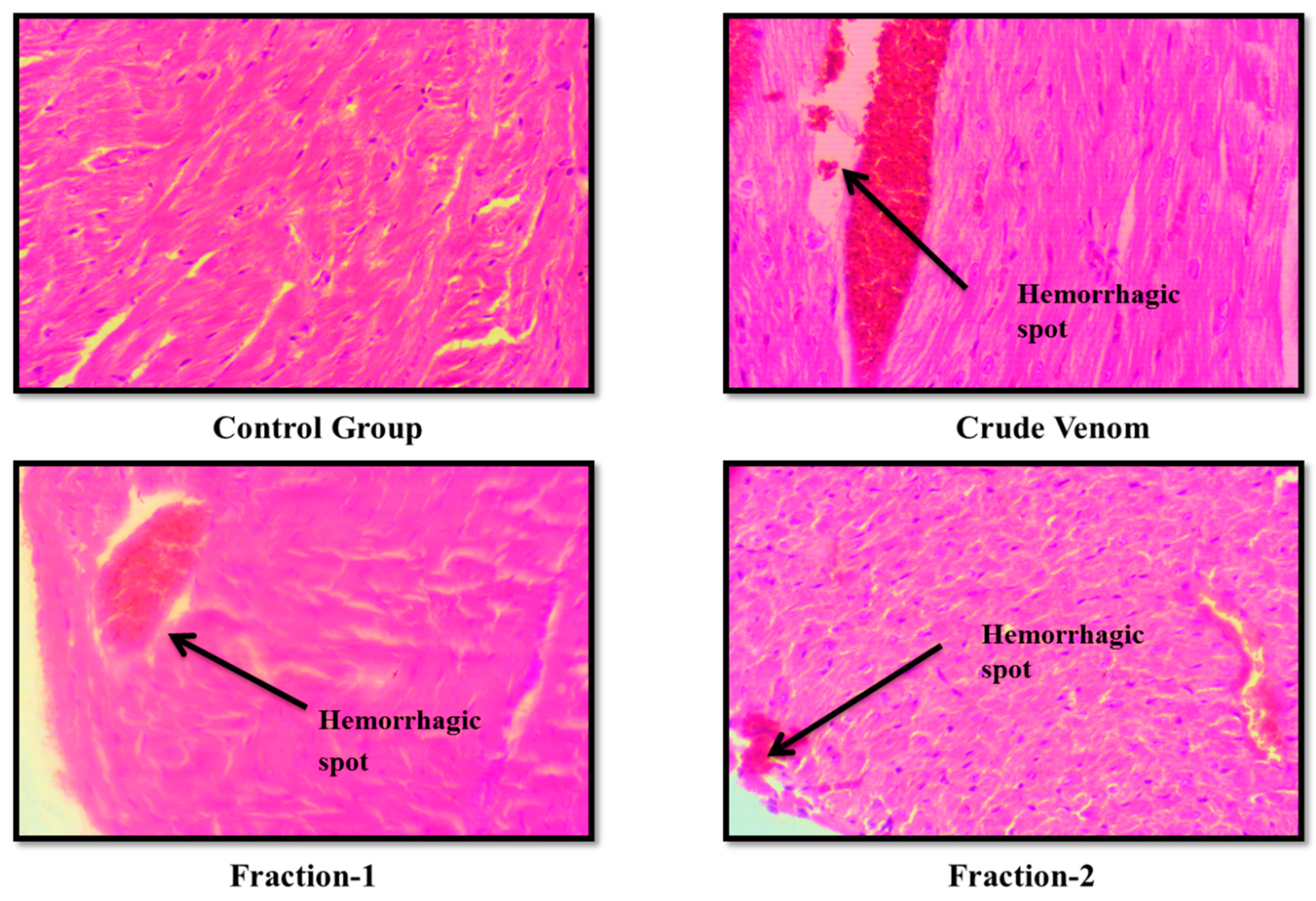 Preprints 100985 g008