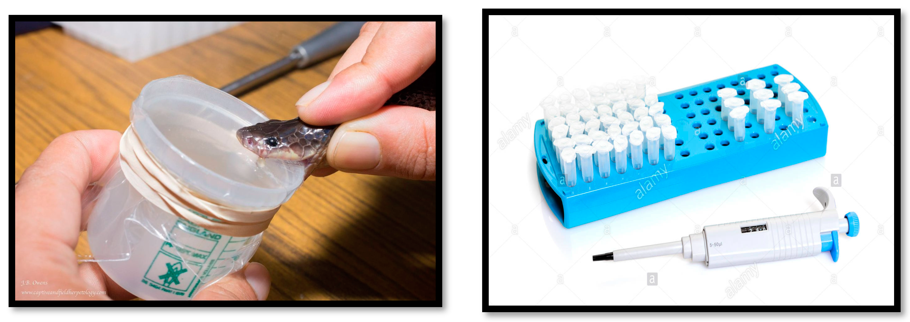 Preprints 100985 g016